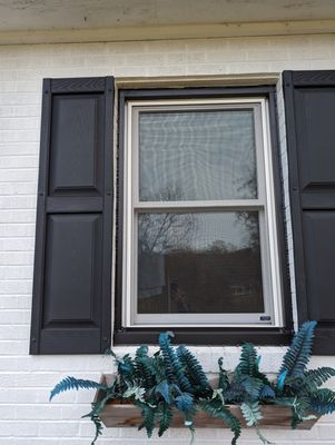 Window replacement using ProVia Aspect with black trim