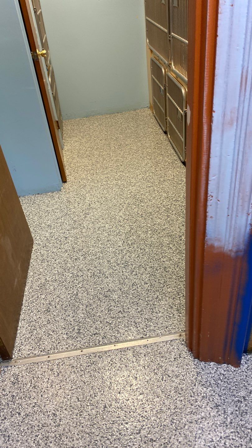 Cat Hospital Project in Pittsburgh by Floors in a Day, Inc