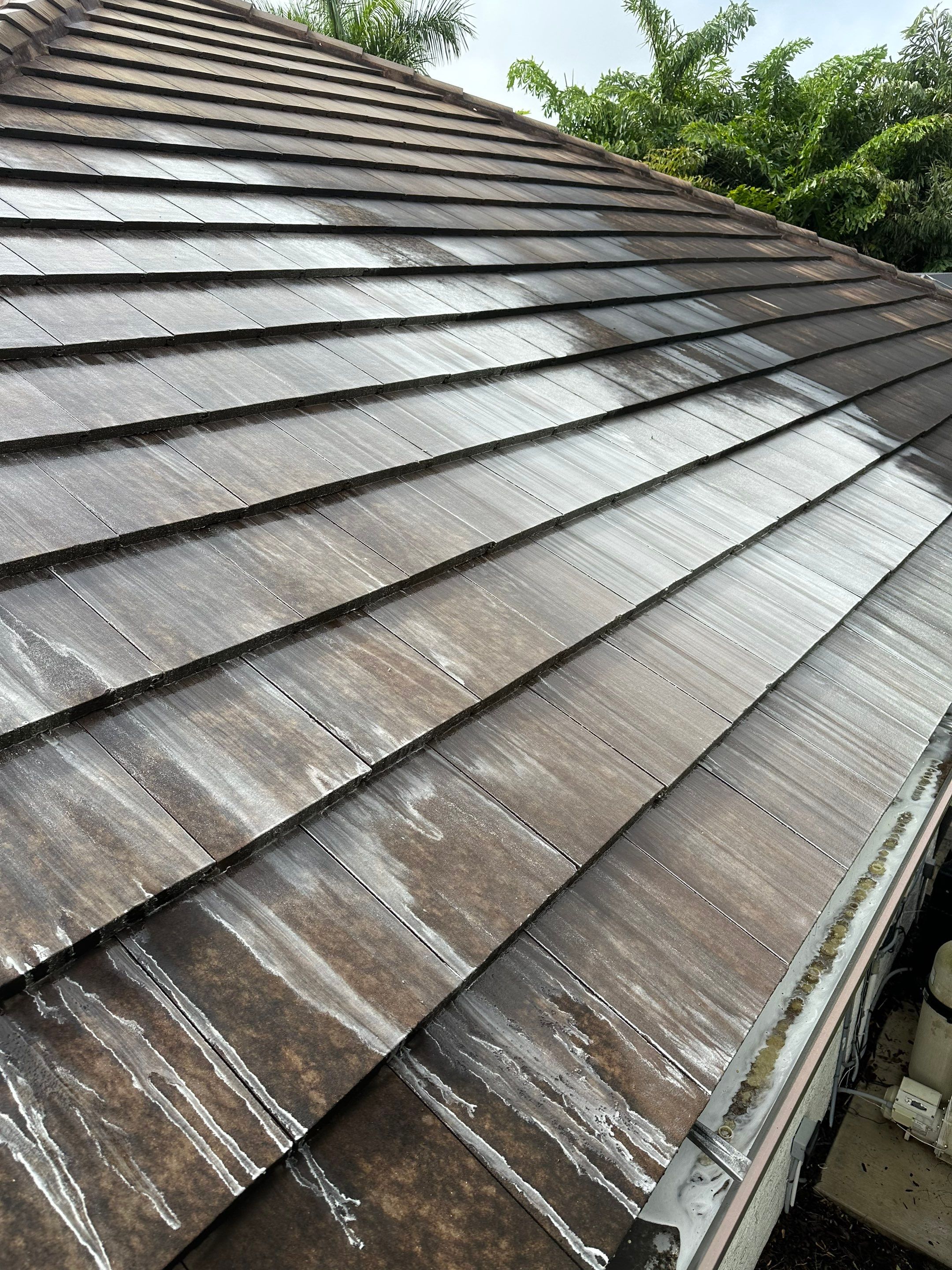 Flat Tile Roof Cleaning, House Wash & Sidewalk Cleaning in Enclave at Country Meadows, Bradenton, FL | Sunshine AquaWash by Sunshine AquaWash