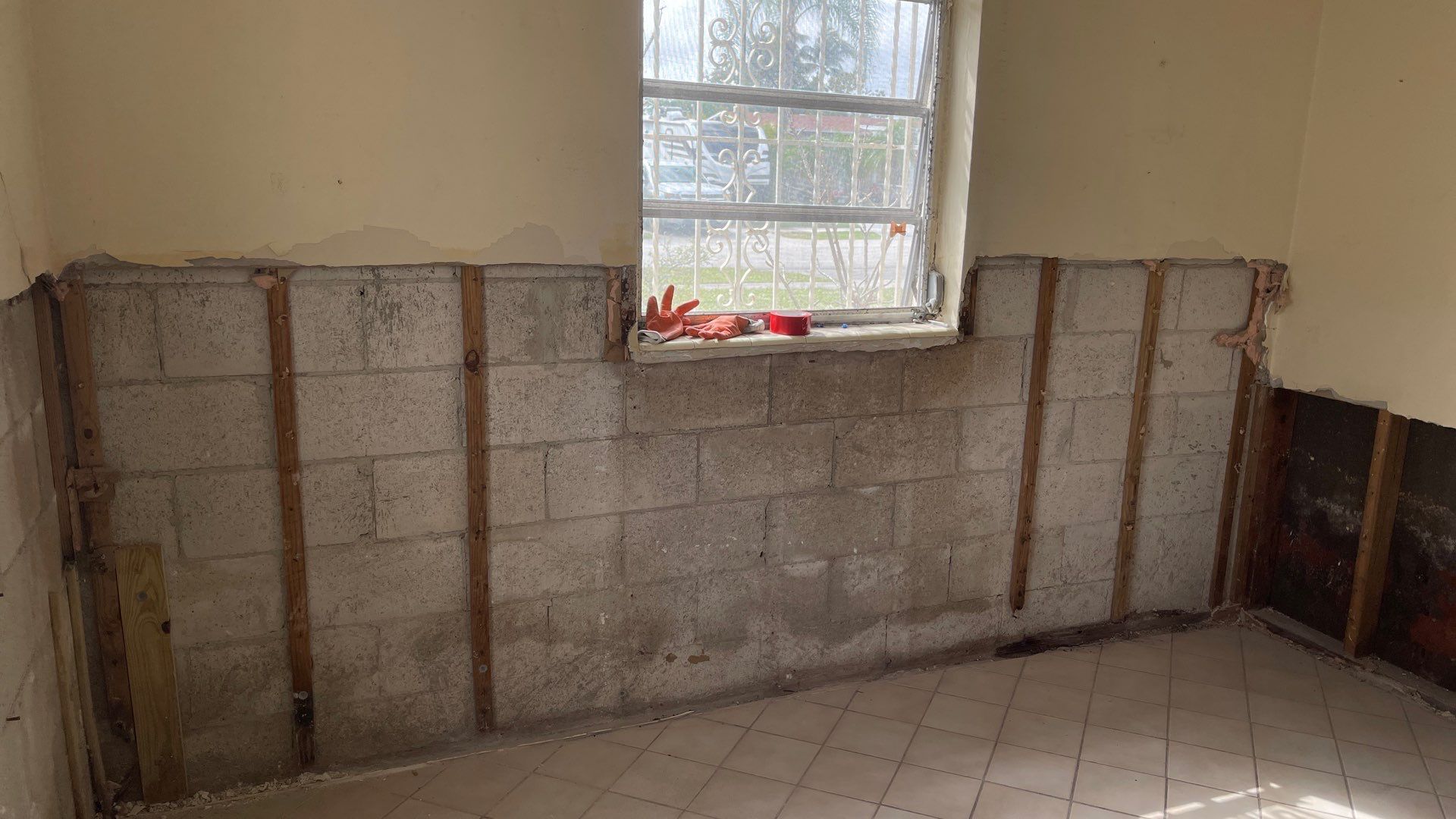 Mold Remediation  by THE RAPID TEAM