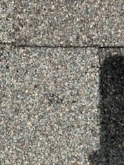Roof Replacement by EL-GC LLC 