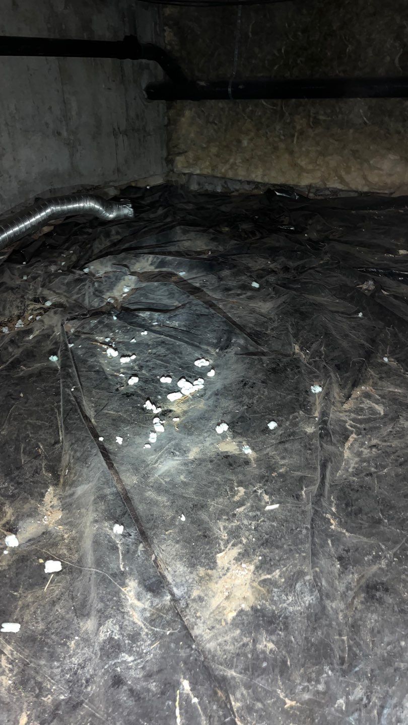 Mold Damage Project in Littleton by Accountable Home Services