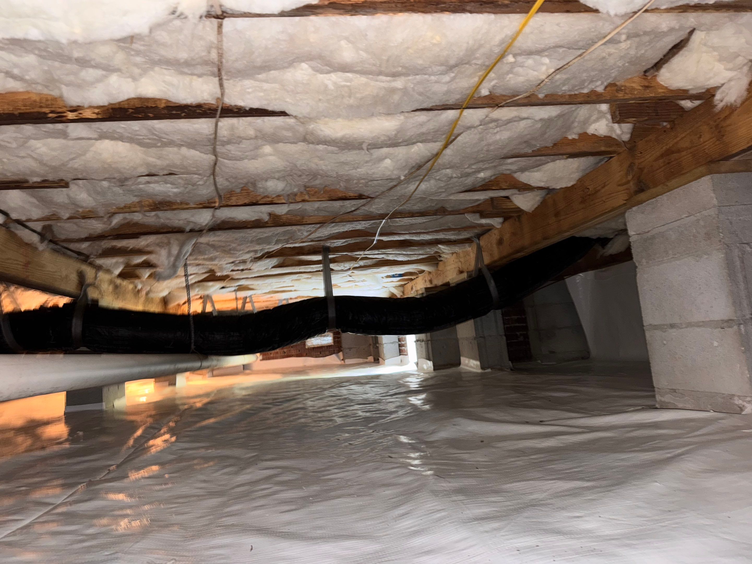 Moisture Barrier, Mold Clean, Structural Repair, Dehumidifier, R19 Insulation. by Impact Crawlspace