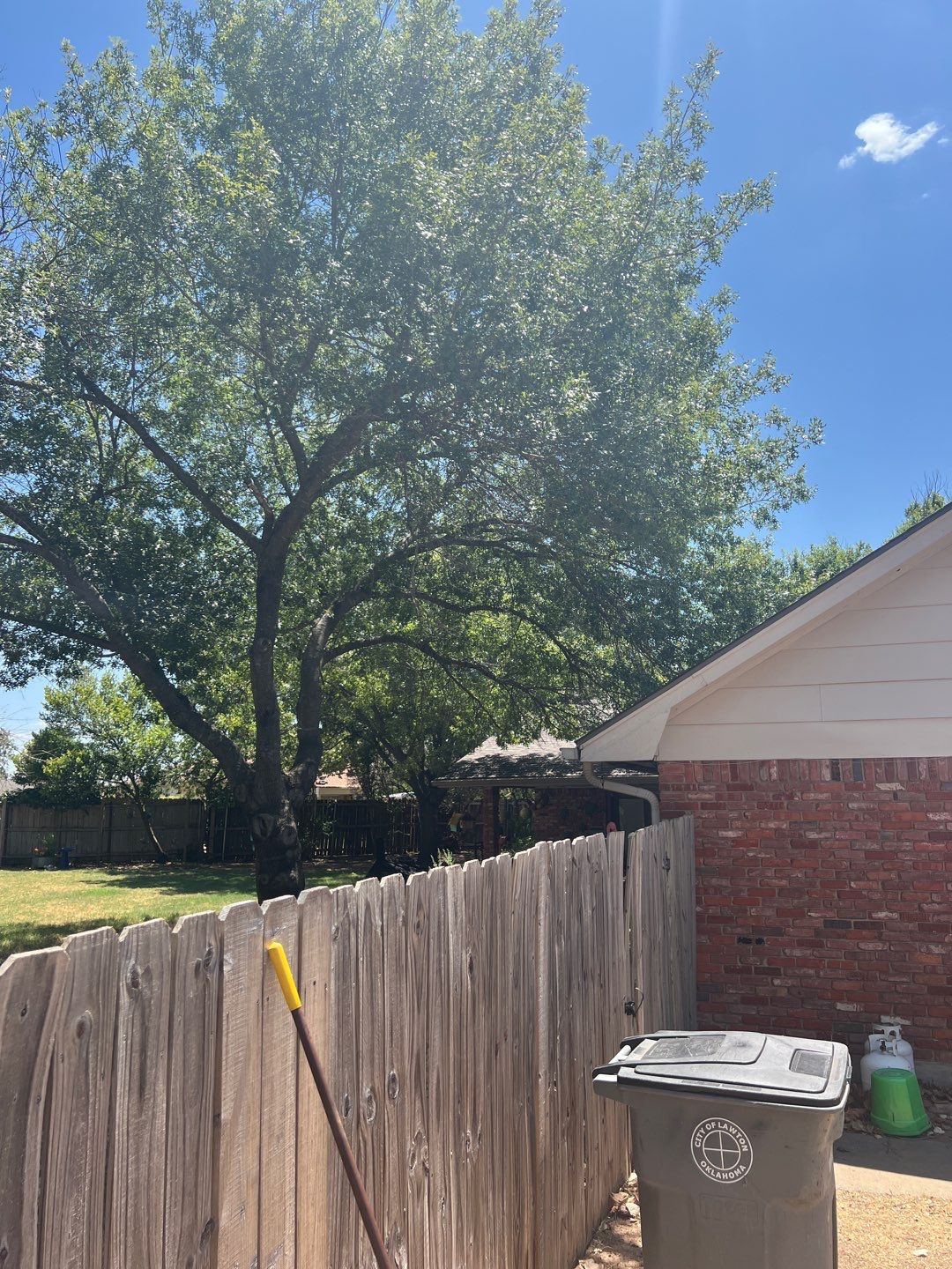 Tree Removals by Clays Services Inc