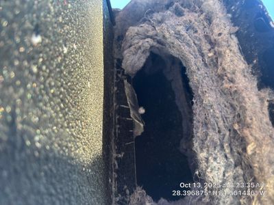 Dryer Vent Cleaning in Clermont