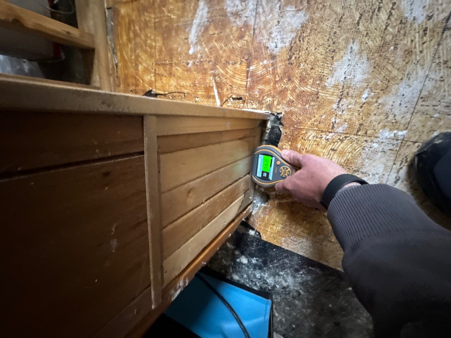 Project in Royal Oak by EzDry Water Mitigation & Property Restoration