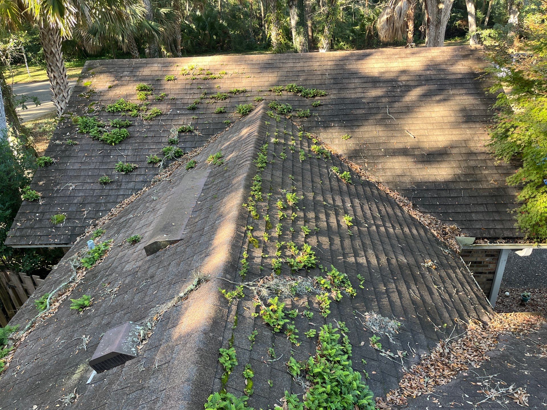 Shingle -> Shingle by Prime Roofing