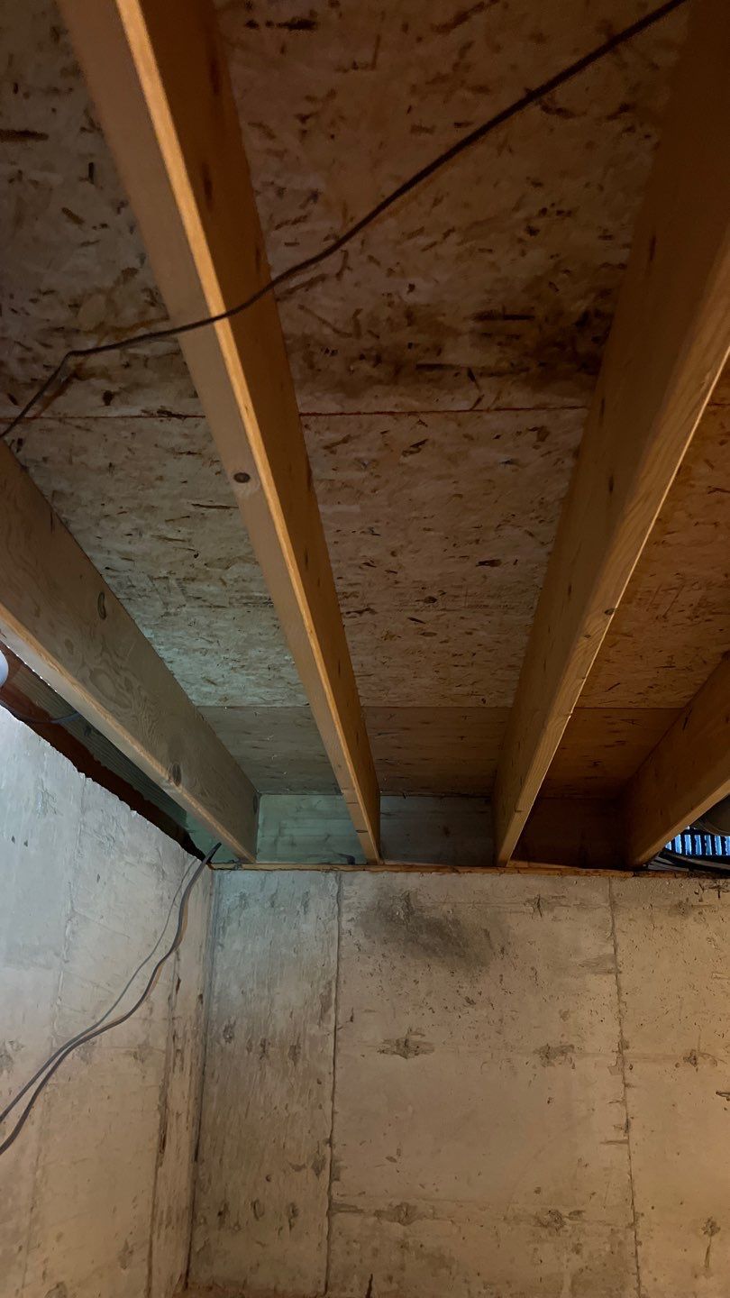 Mold Damage by Accountable Home Services