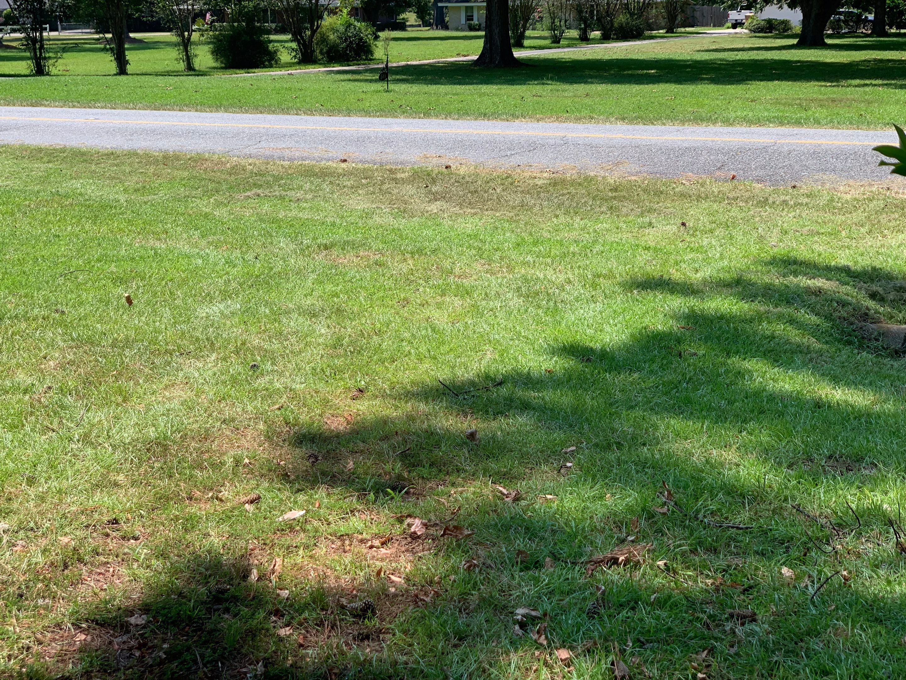 Yard Makeover by College Bros Outdoor services