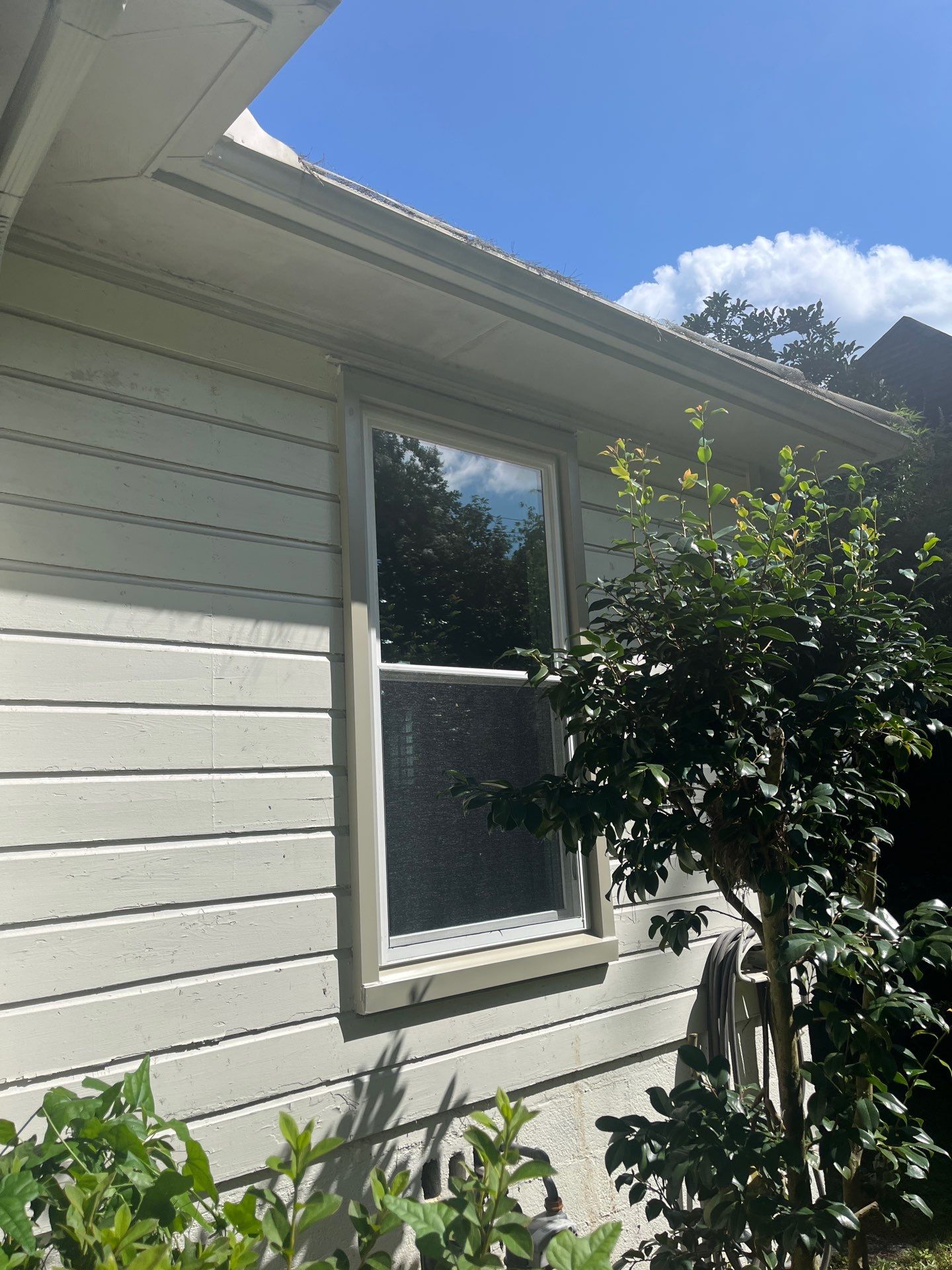 Hamre Project in Mountain Brook by The Window Source