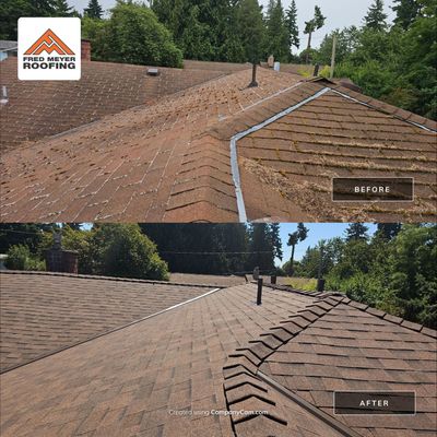 Roof Project in SeaTac