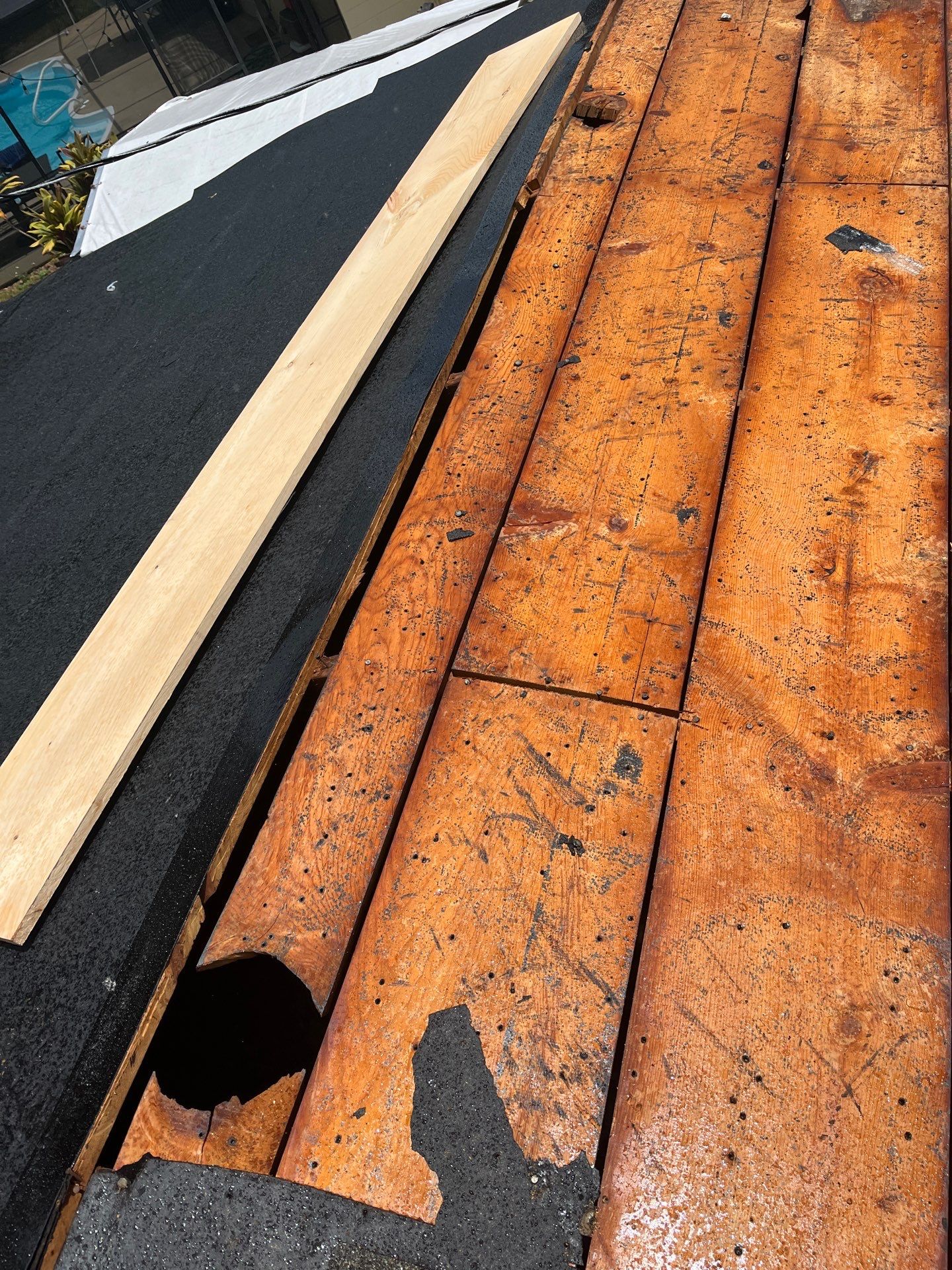 Project in Pinellas Park 33781 by Mitchell Roofing Company LLC