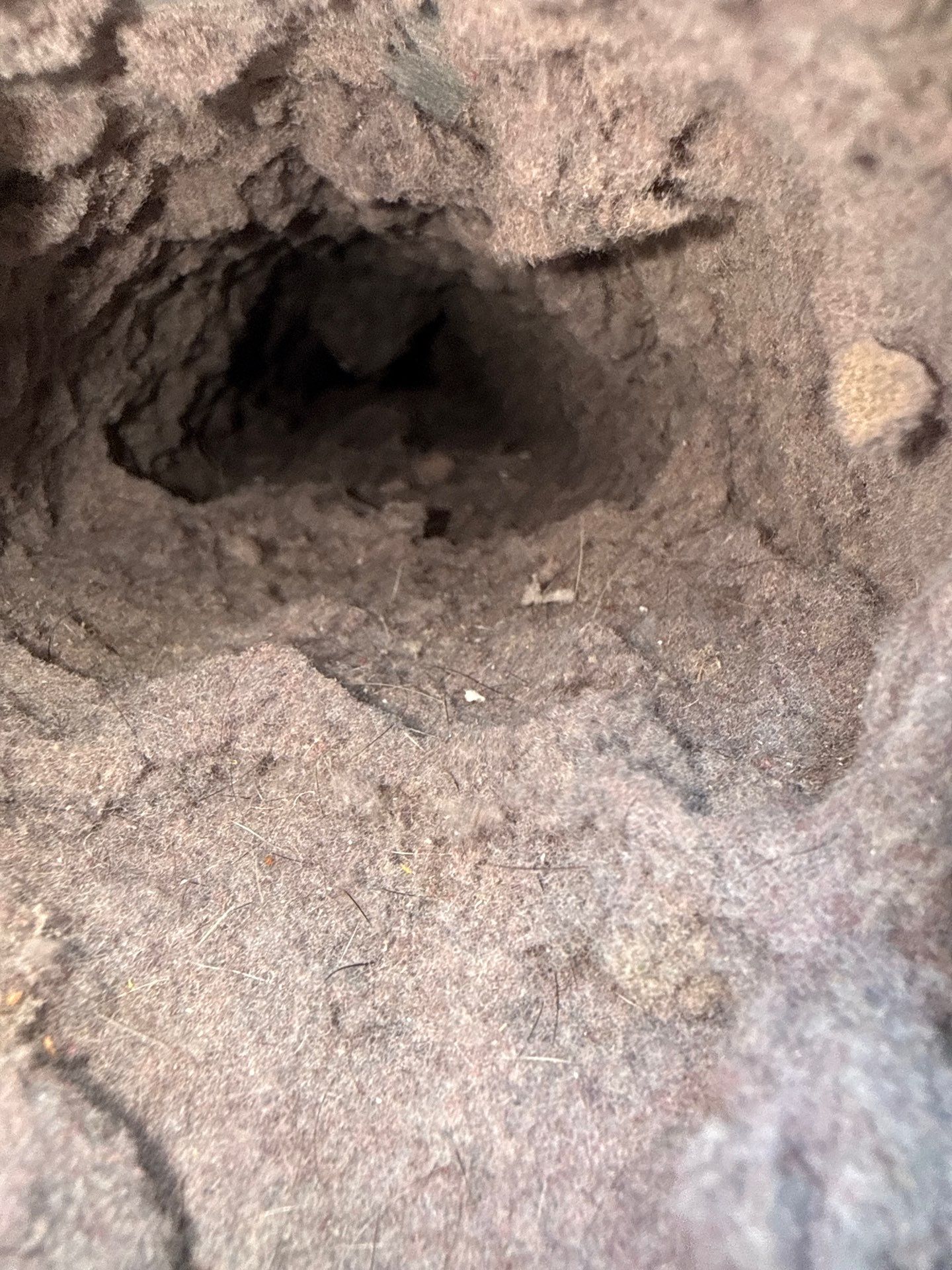 Residential Dryer Vent Cleaning and Lint Removal in New Brighton, PA by Superior Air Duct Cleaning