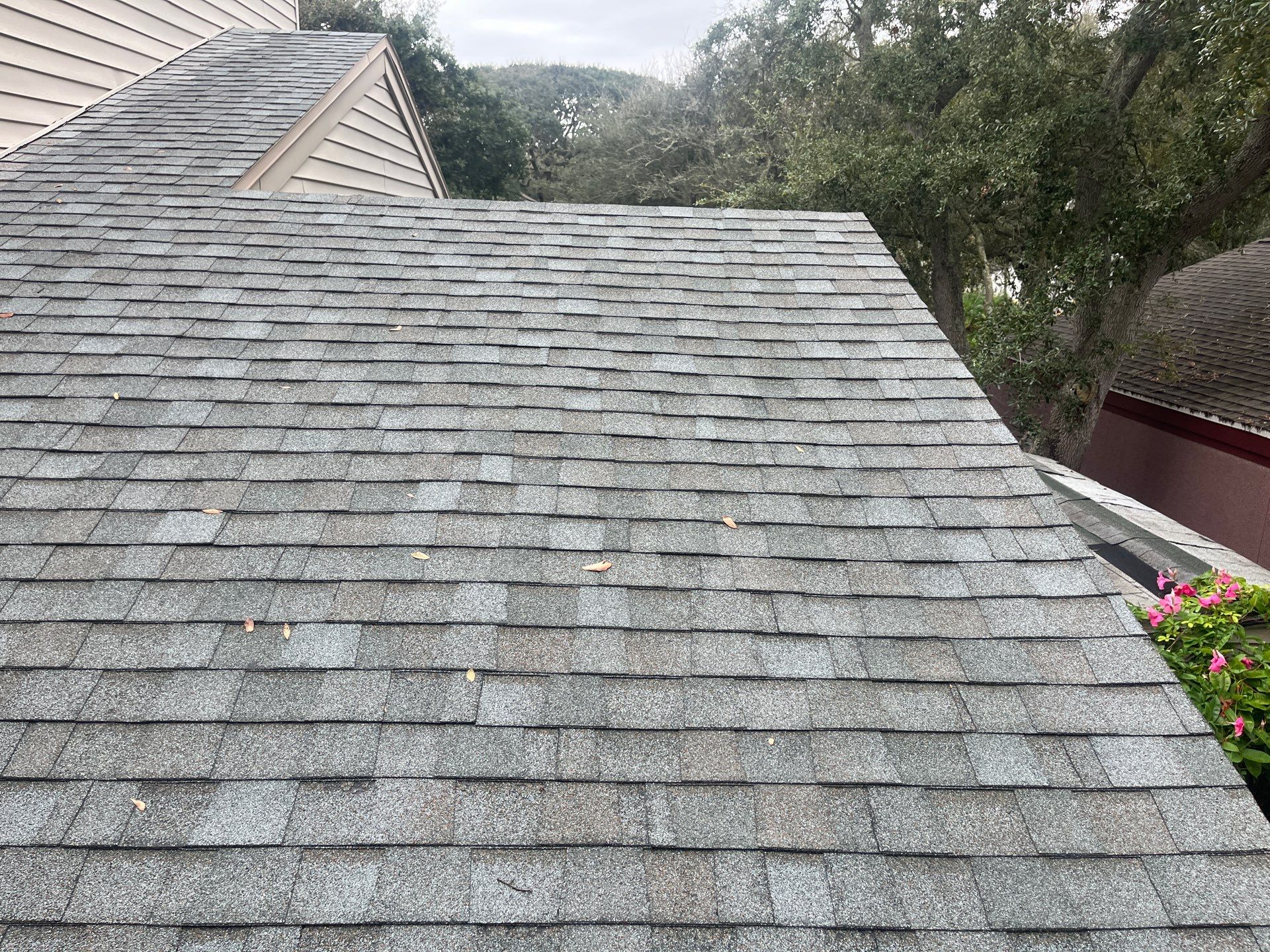 Shingle -> Shingle by Prime Roofing