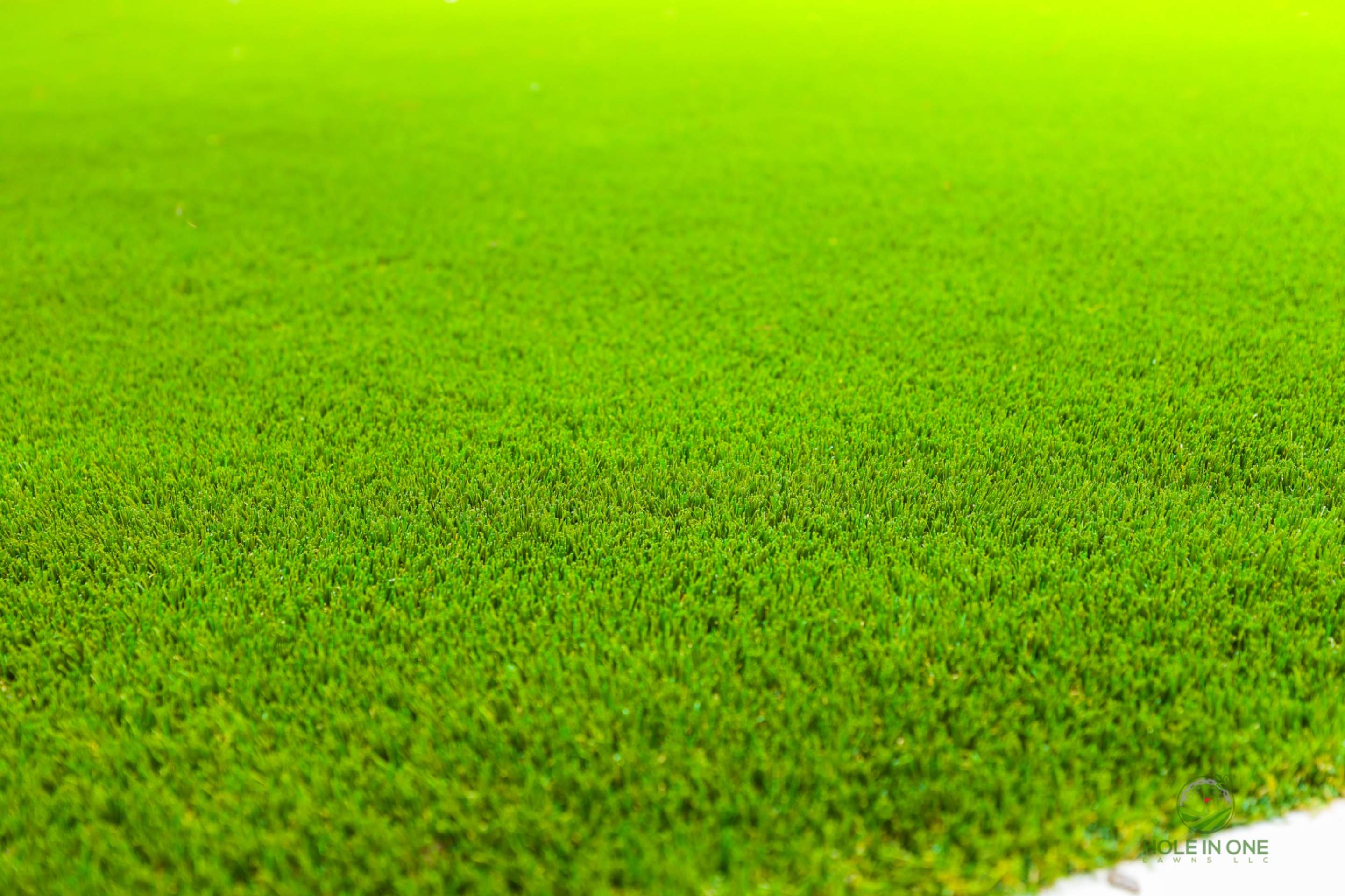 Fall Creek, San Antonio TX by Hole In One Lawns, LLC
