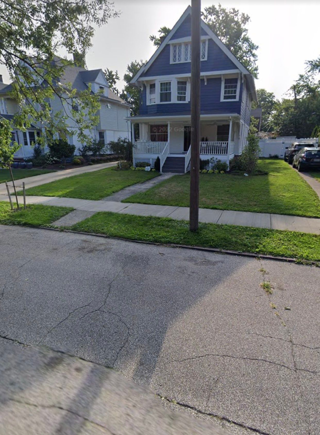 Christmas Hedge Install by Elm Rose Gardens