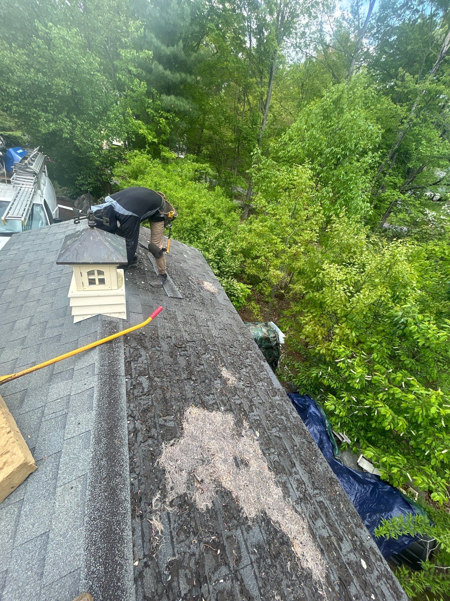 Roofing | Northborough by Mighty Dog Roofing of Greater Middlesex County