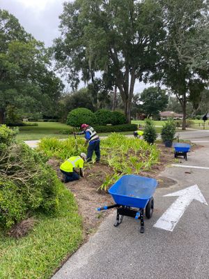 Deerwood Community | Island Landscape Replacement