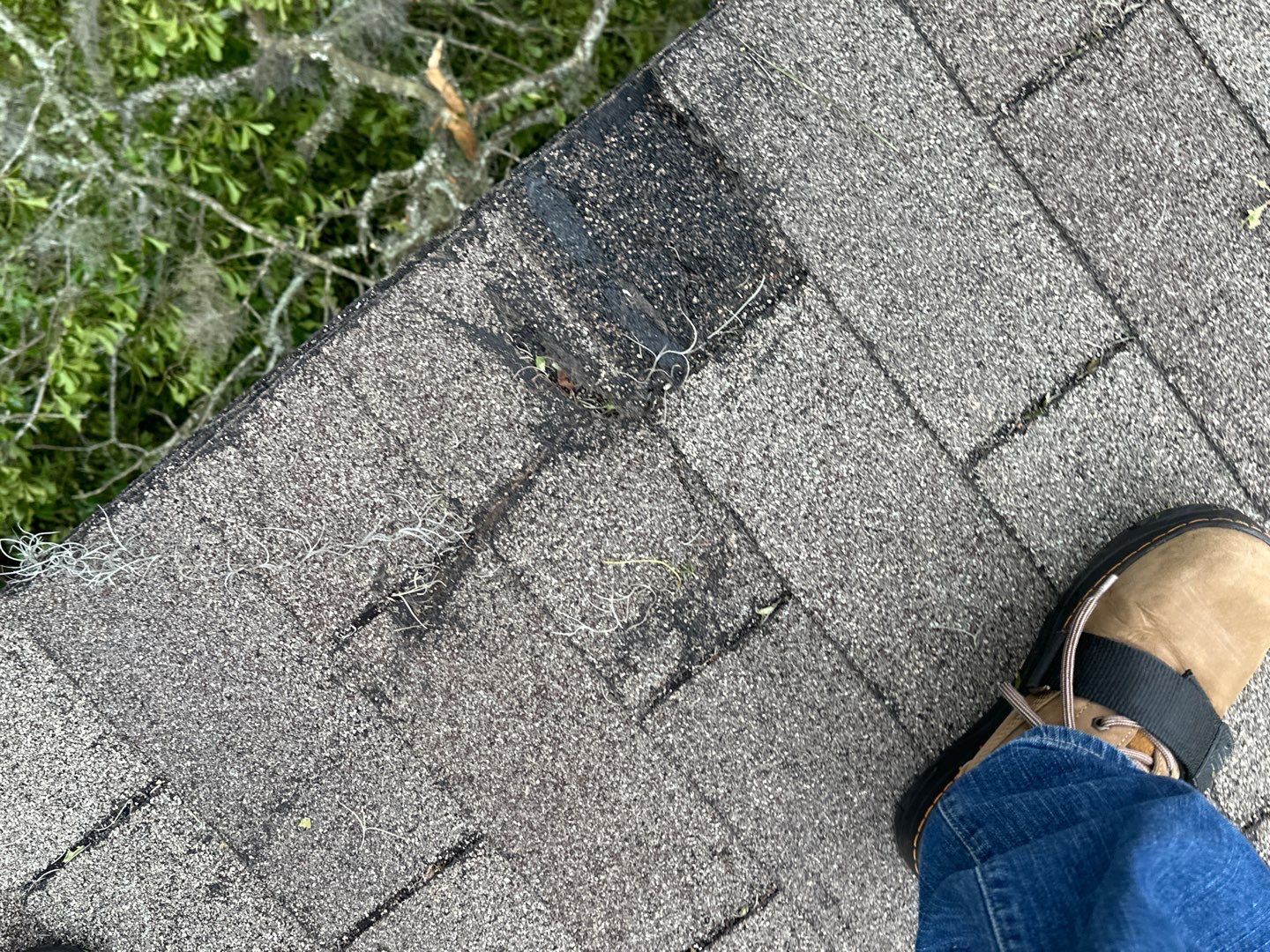 Residential Roofing Installation using Atlas Pinnacle Pristine Black Shadow by Talya Roofing