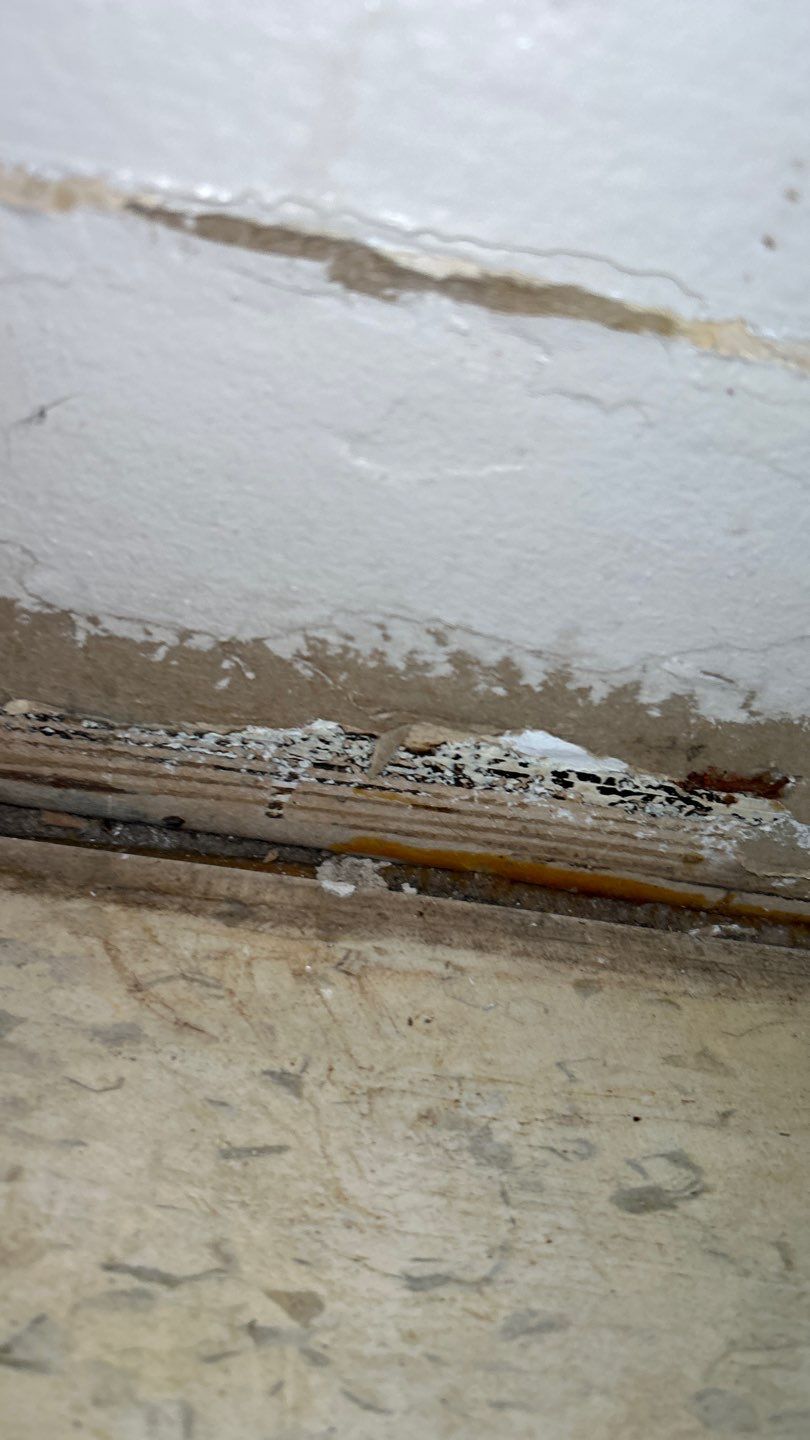 Mold Remediation by Accountable Home Services