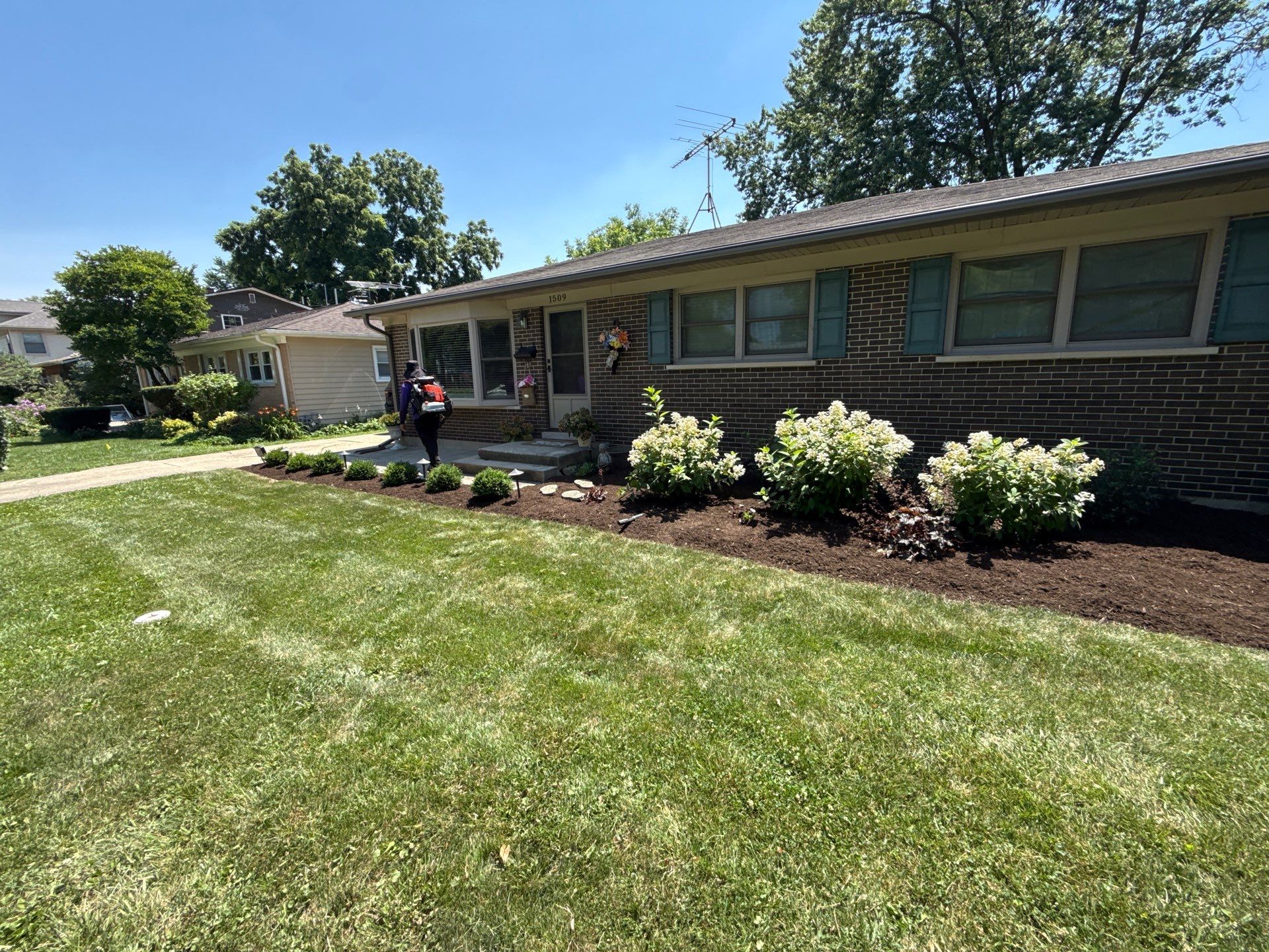 Gina K. - Mount Prospect, IL by A&N 