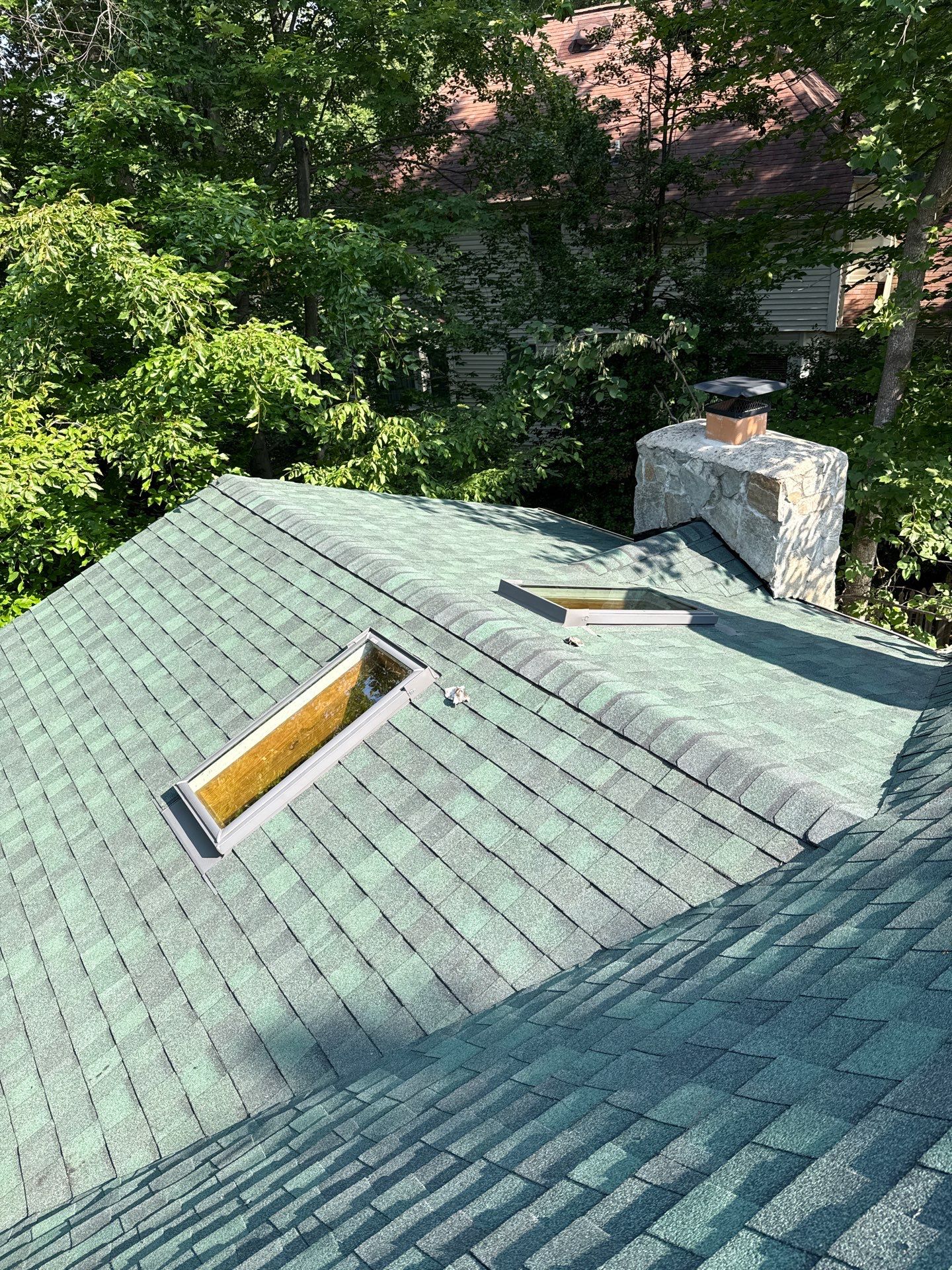 Springfield: Roof Replacement with CertainTeed Landmark Pro in Max Def Evergreen by RM Banning, Inc.