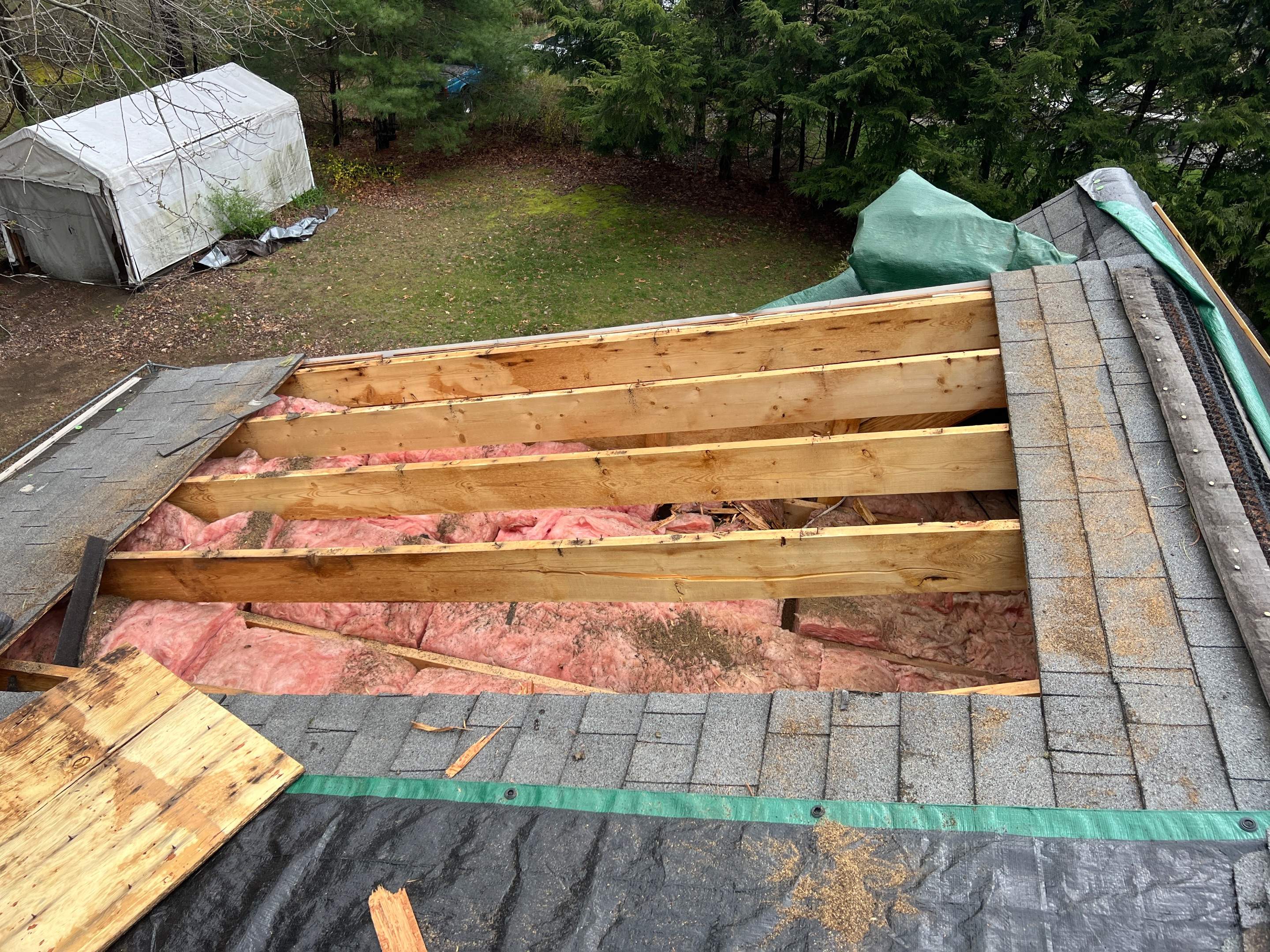 Tree Damage/Roof Repair by Chagnon Building & Remodeling LLC