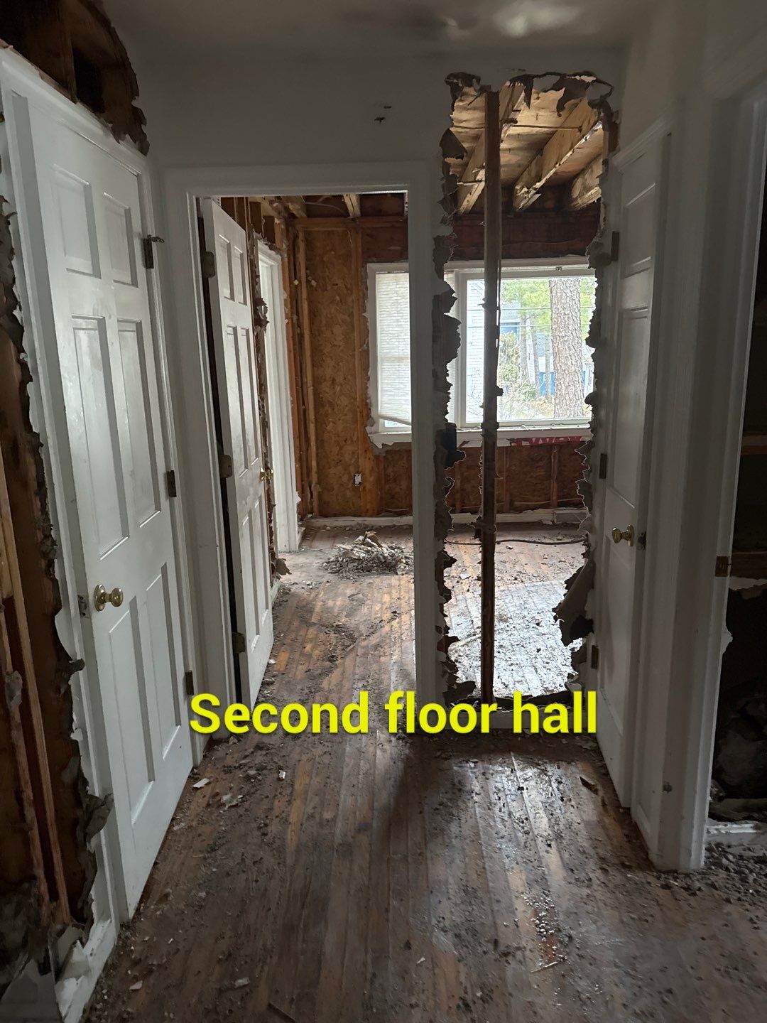 Large‑Loss Water Damage, Structural Drying & Mold Remediation – Rehoboth Beach, DE by Healthy Home Solutions
