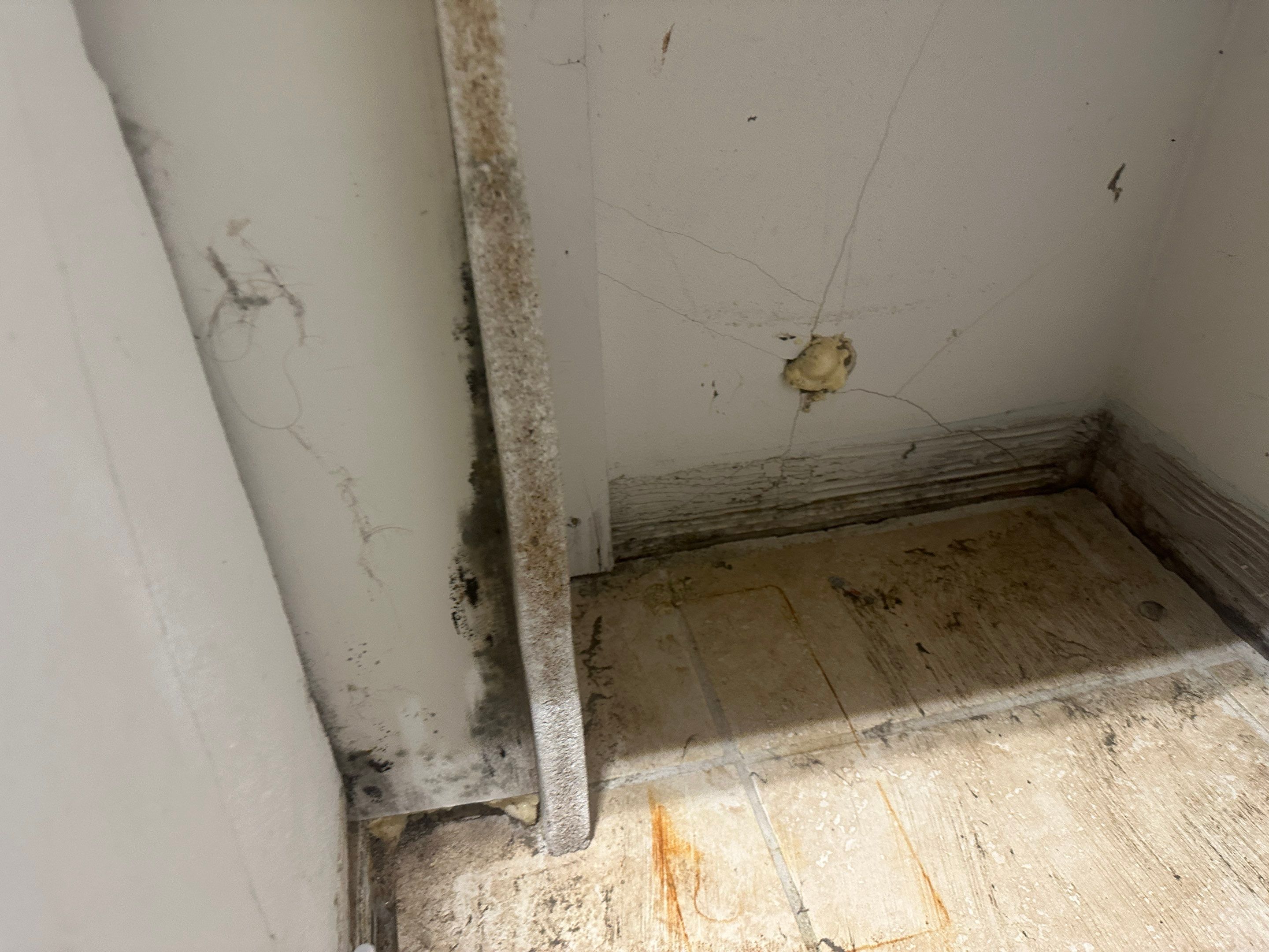 Water Damage Claim in Treasure Island by FLAPA & KeyStone
