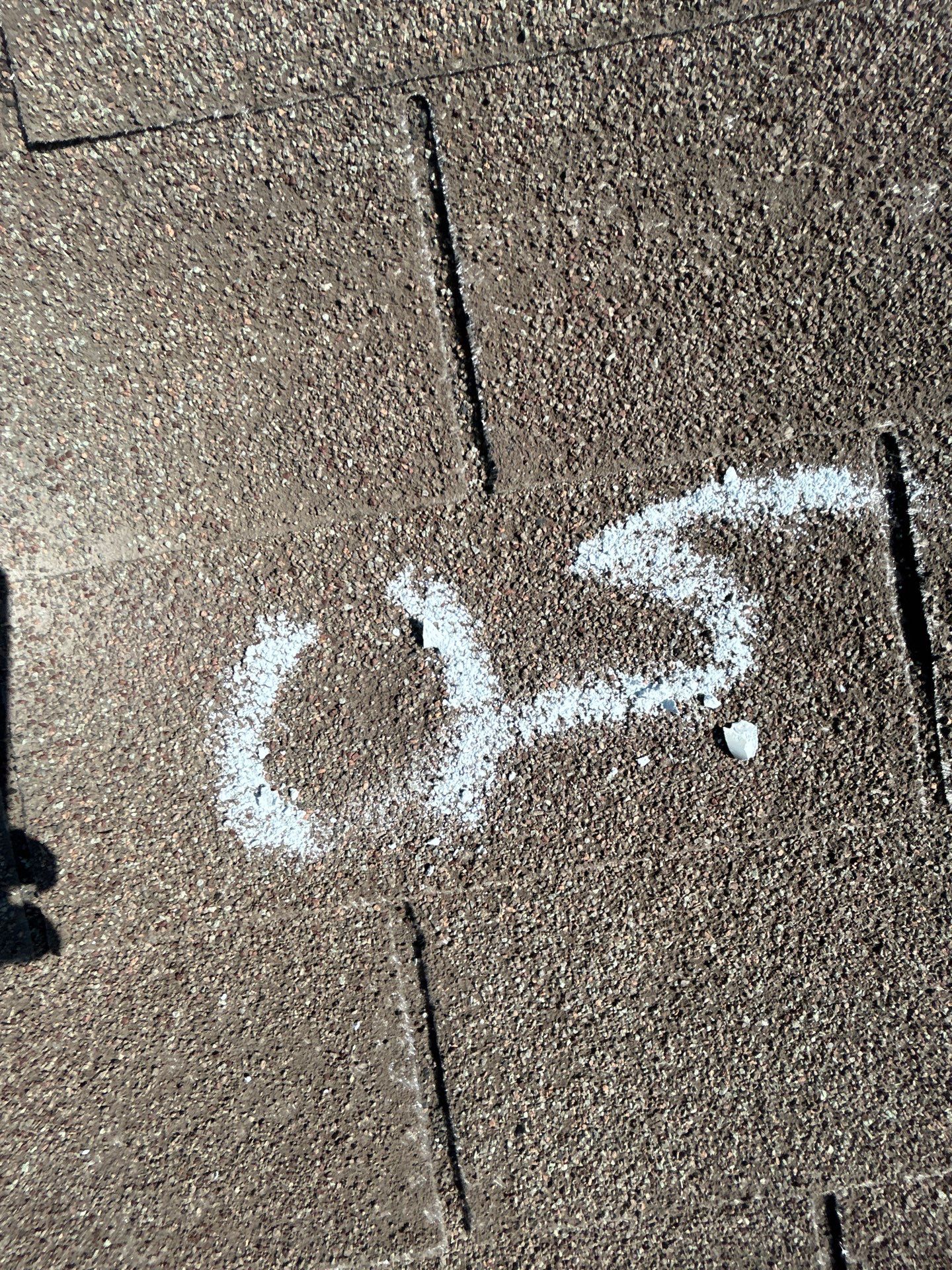 Miss Bridgette by REPS OF TEXAS