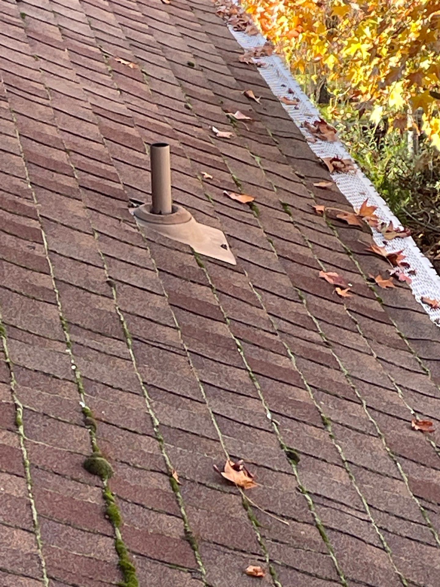 Roof Rejuvenation using Roof Maxx Treatment by Roof Maxx of Folsom