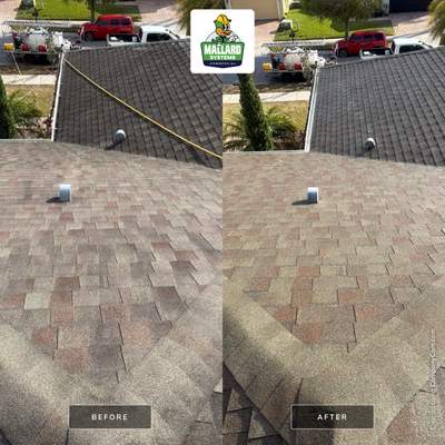 Shingle Roof Cleaning