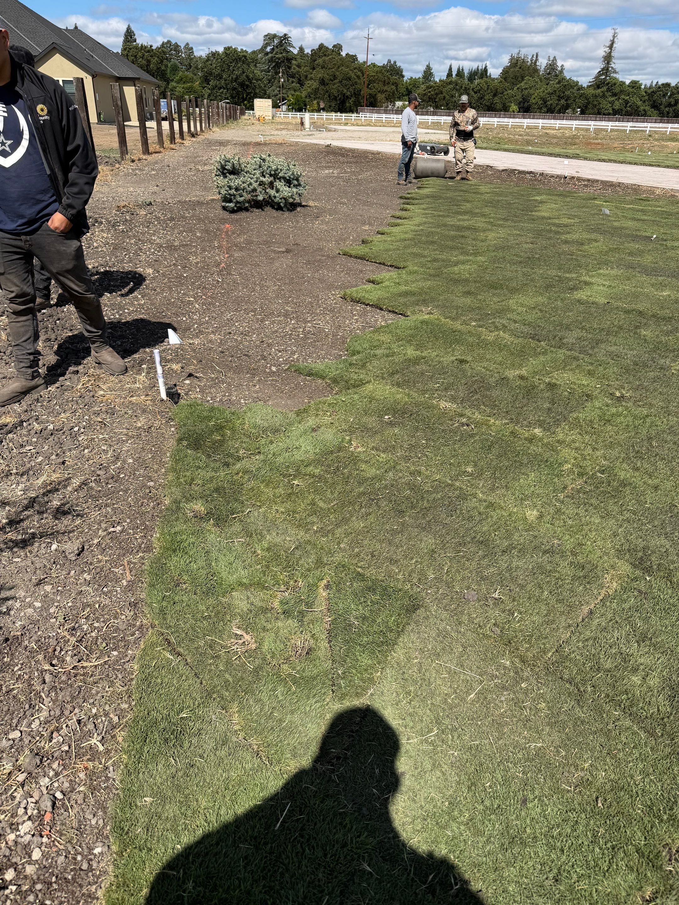 Project in Stockton by A - G Sod Farms
