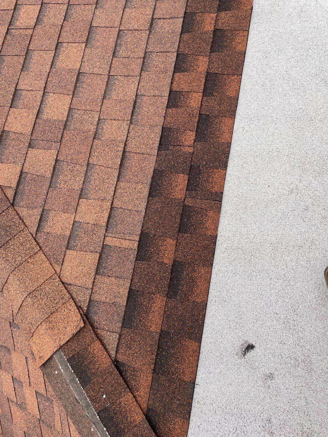 Retirement Shade  by Bayfront Roofing and Construction