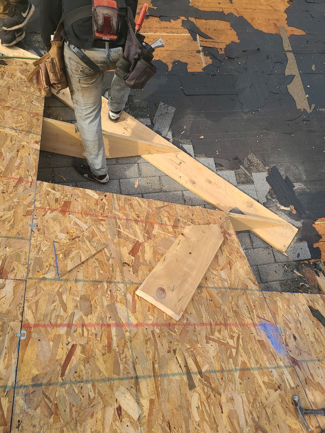 Arlington CertainTeed Landmark Pro Roof in Max Def Moire Black by RM Banning, Inc.