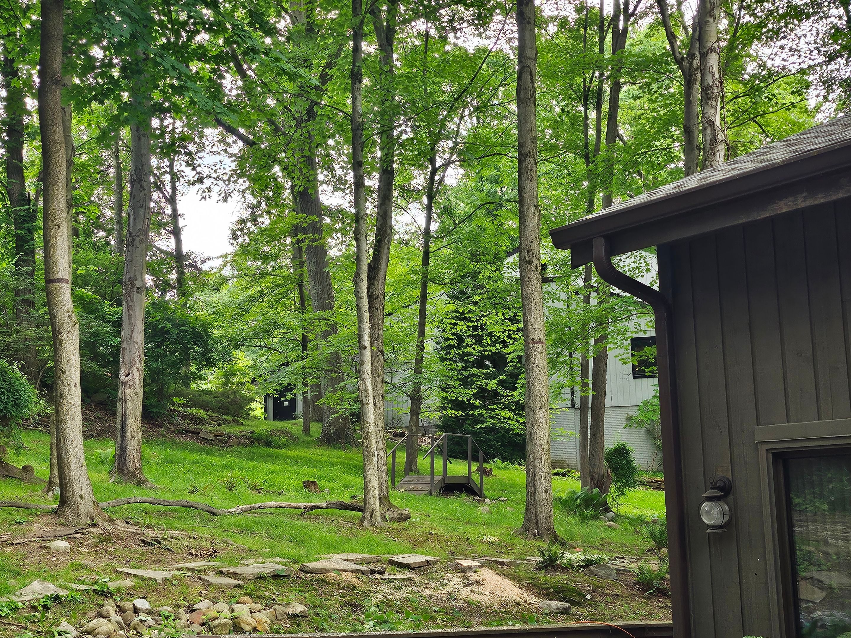 Tree Trimming using Tree Pruing by Mike Jones & Sons Tree Service LLC 