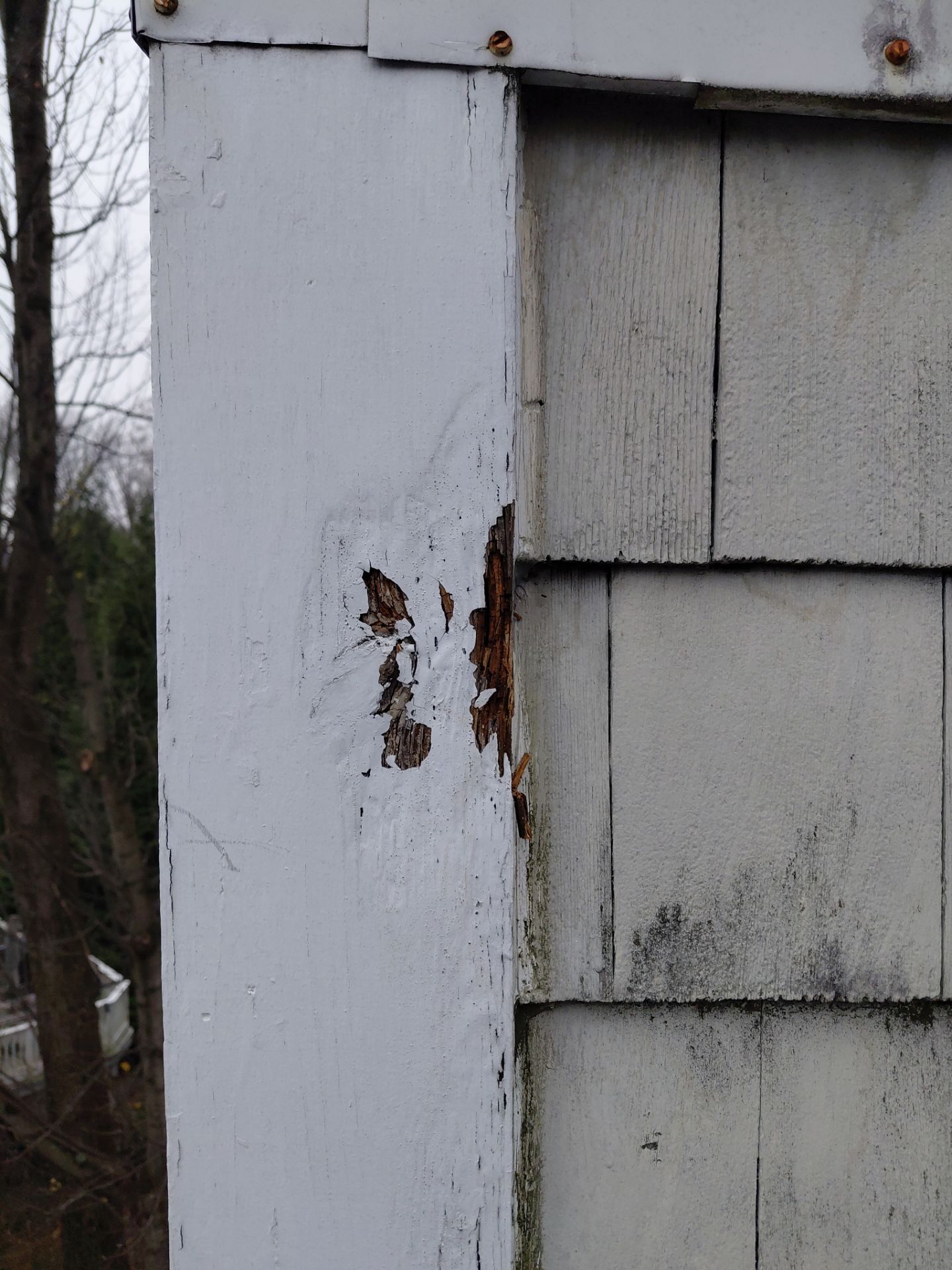 Reston :  Residential Roof Replacement with Brava Synthetic Cedar Shake Class C Natural  by RM Banning, Inc.