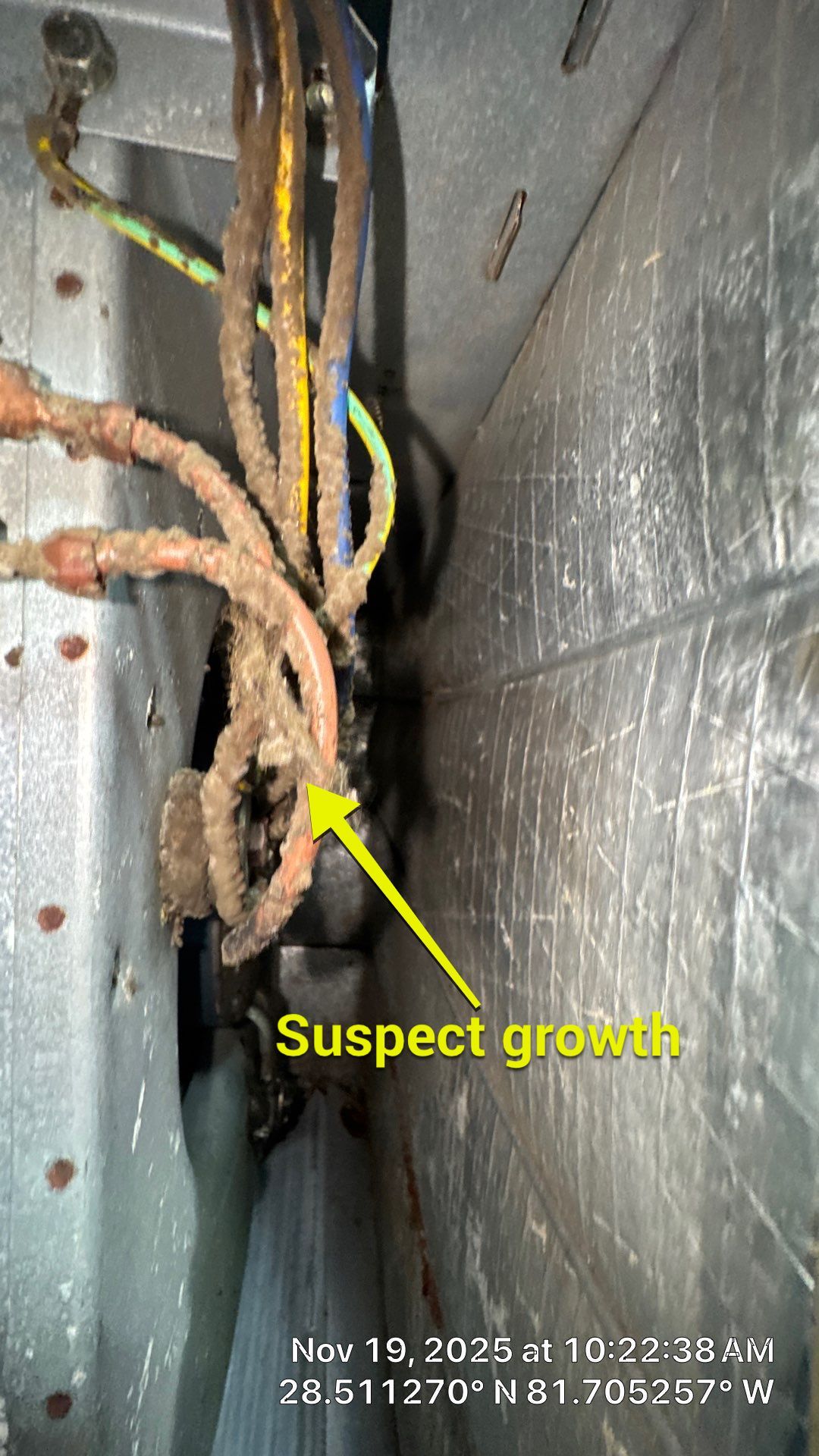 Air Duct Cleaning in Clermont by Hygienic Air, Inc