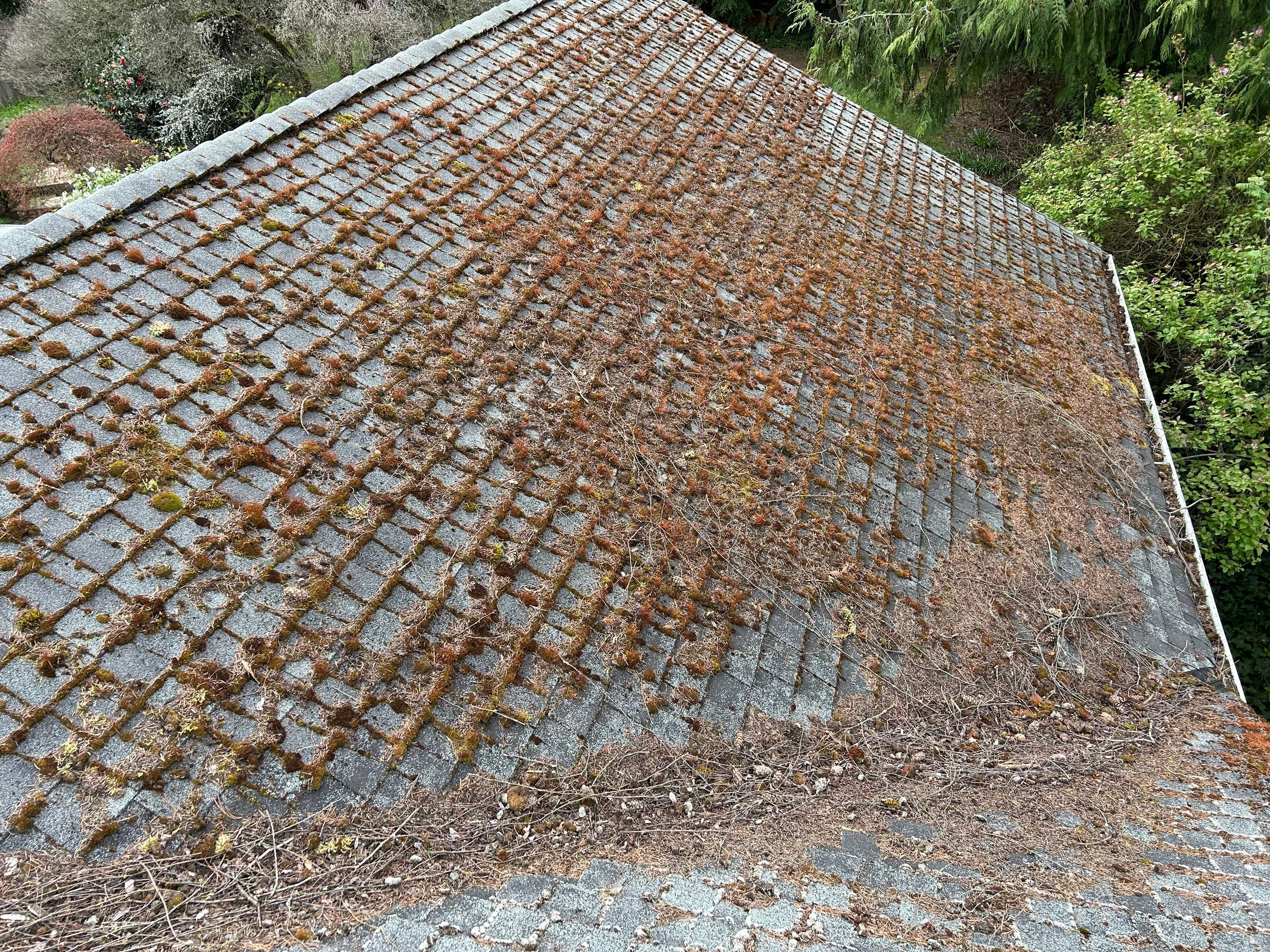Project in Seattle  by Peaks and Valleys Construction