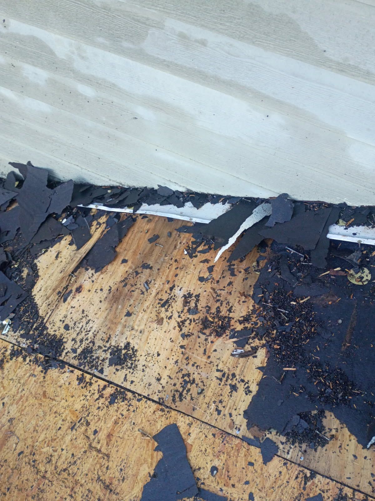 Just another roof ? by REPS OF TEXAS