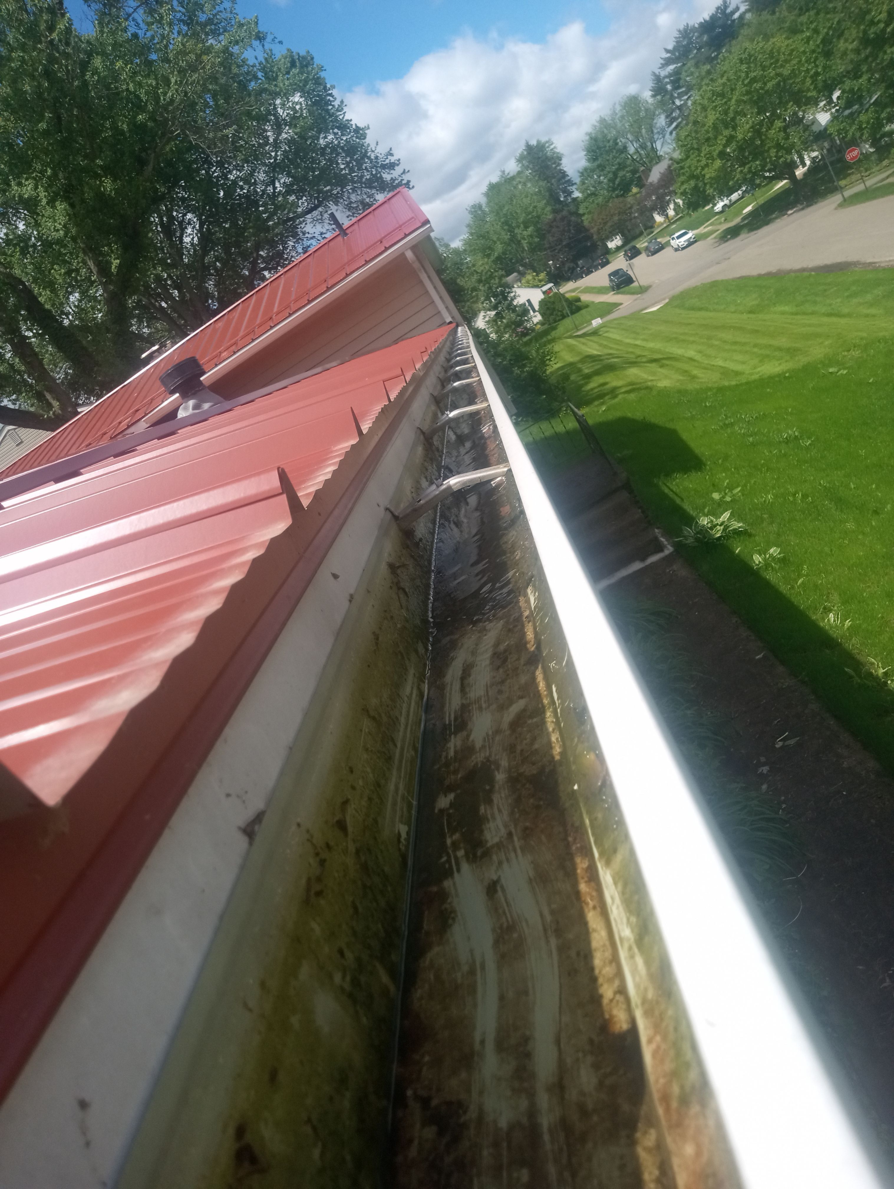 Jim Liossis by Silver Leaf Contracting 