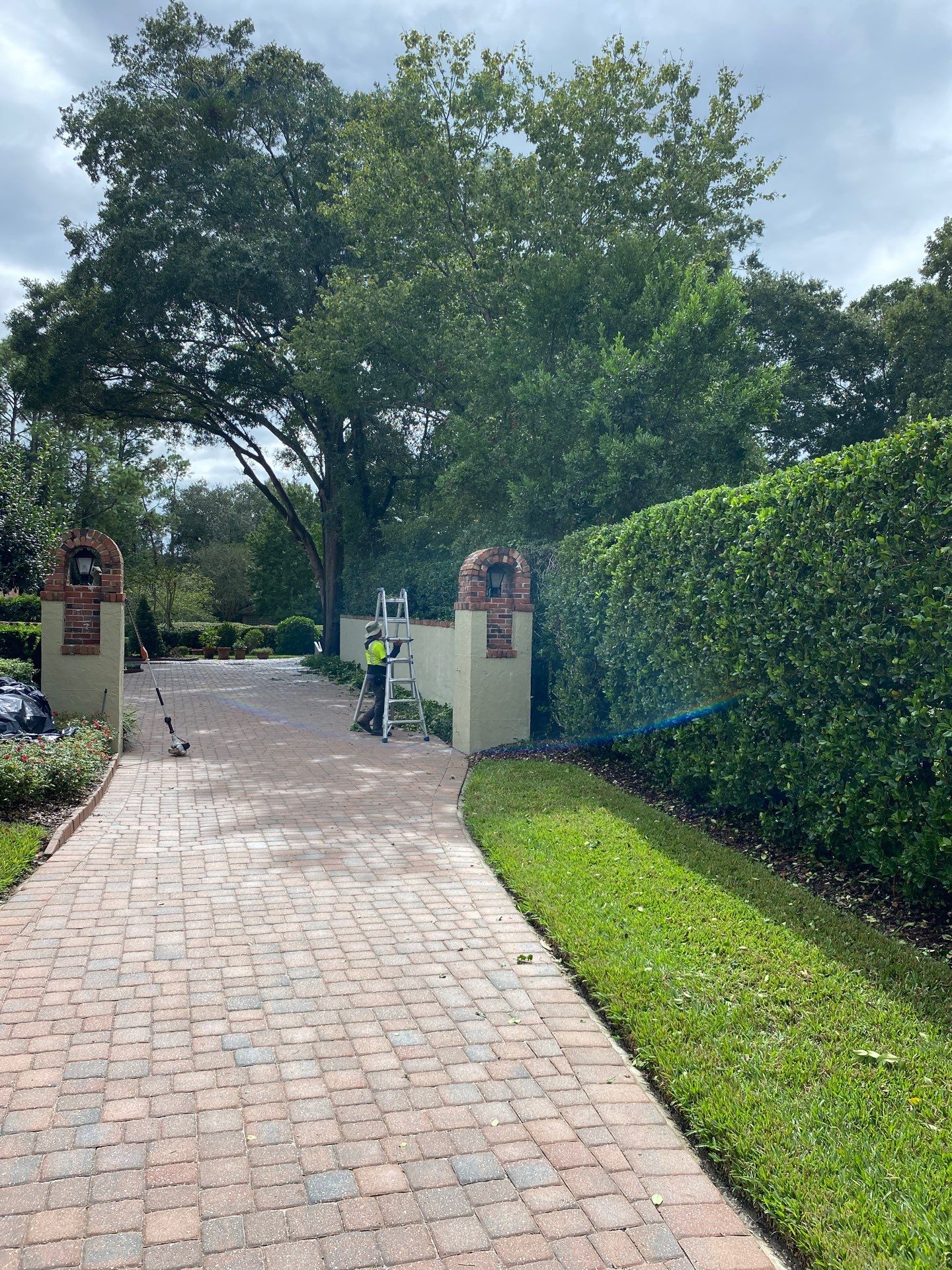 Deerwood Resident | Shrub Work by ProGreen Services