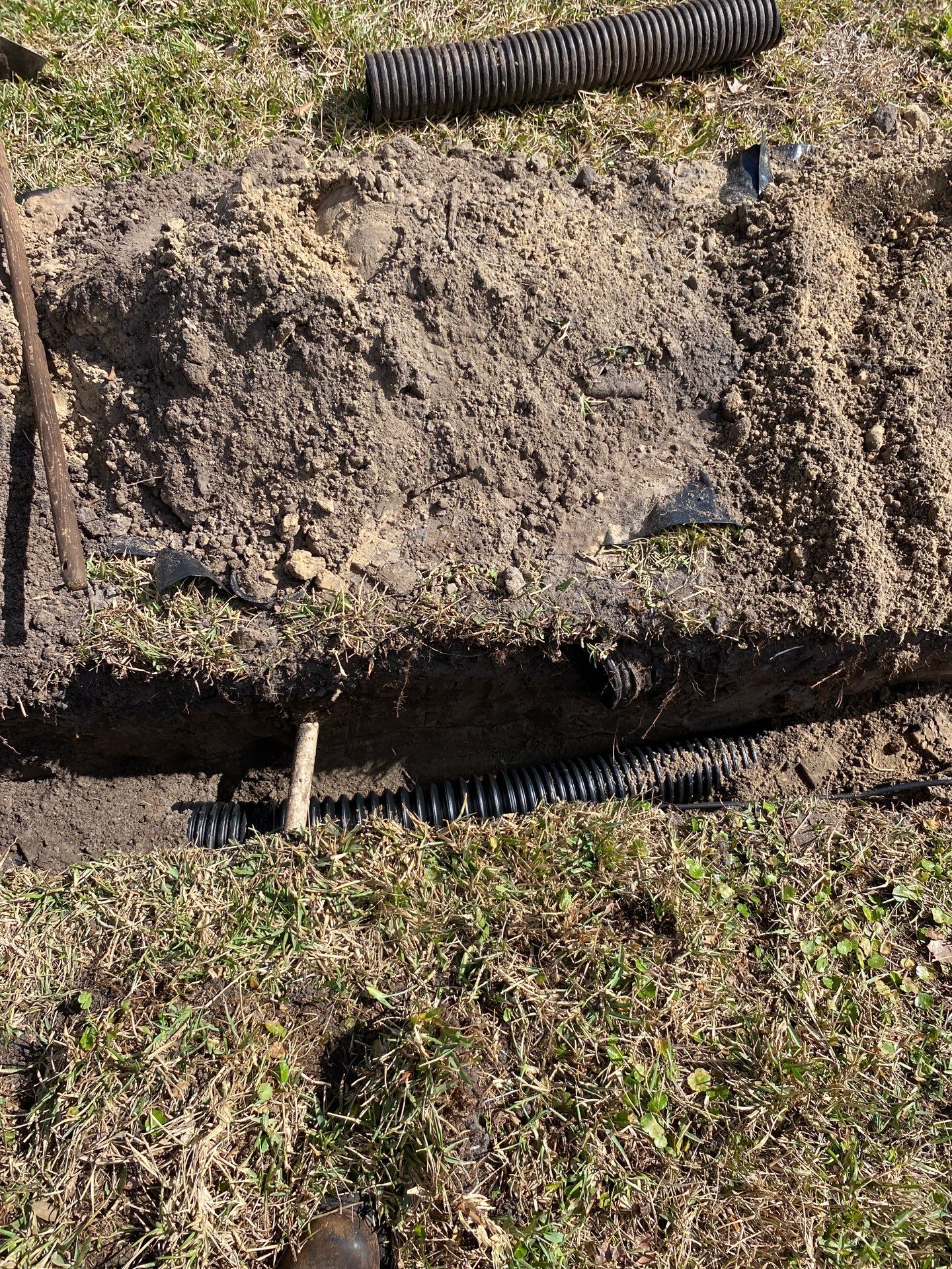 Deerwood Resident | Tree Removal & Trench by ProGreen Services