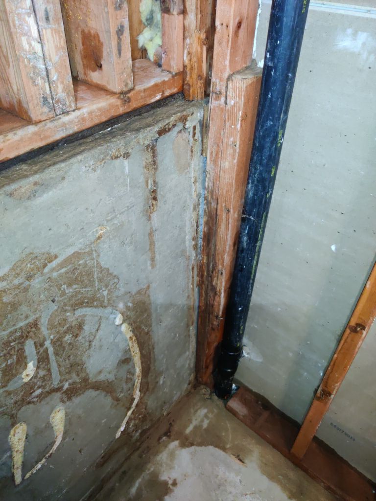 Mold Remediation in Bathroom by Accountable Home Services