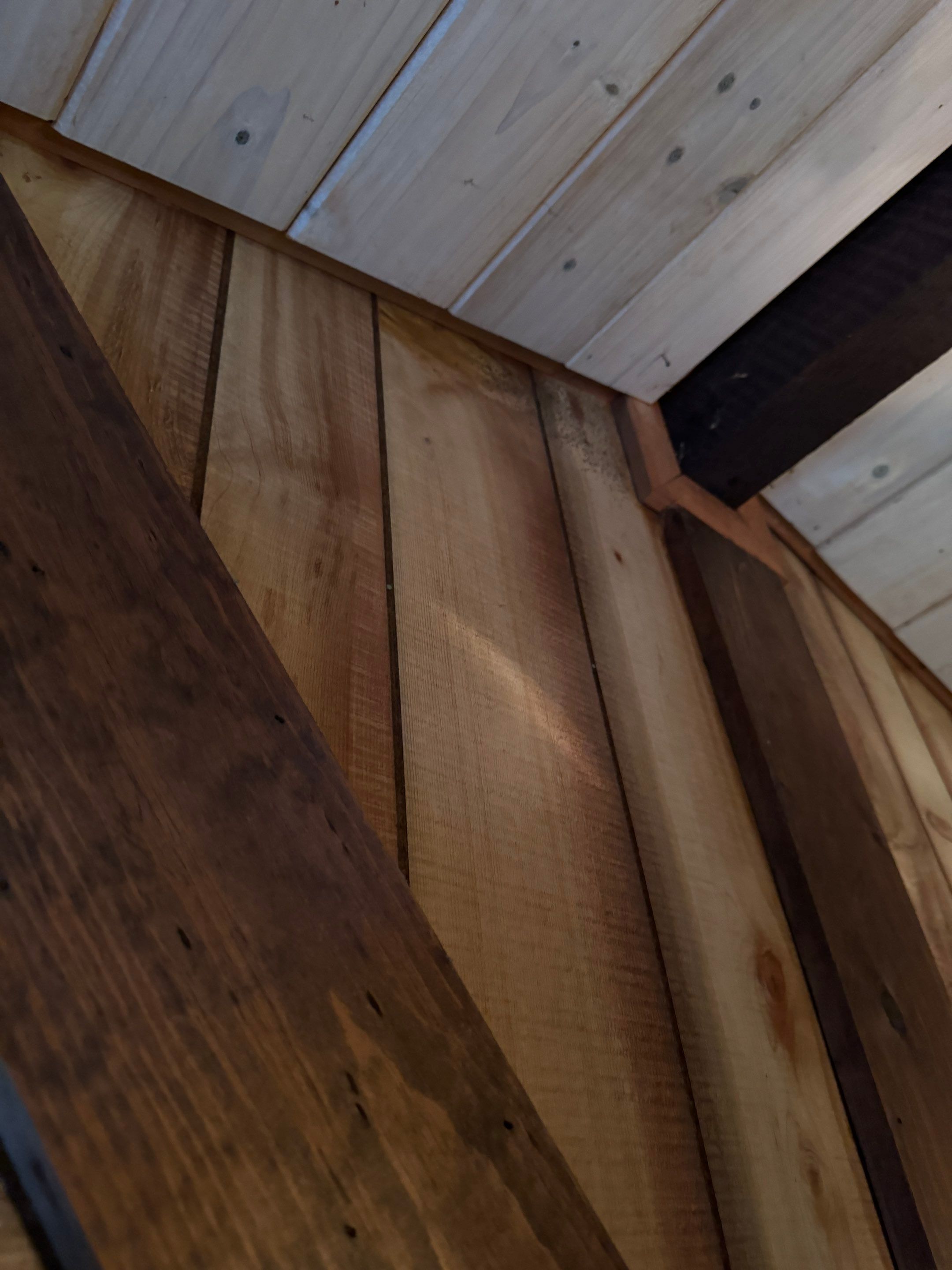 Attic & Sunroom Mold Remediation by Home Guarantee, LLC