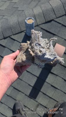 Dryer Vent Cleaning in Mascotte