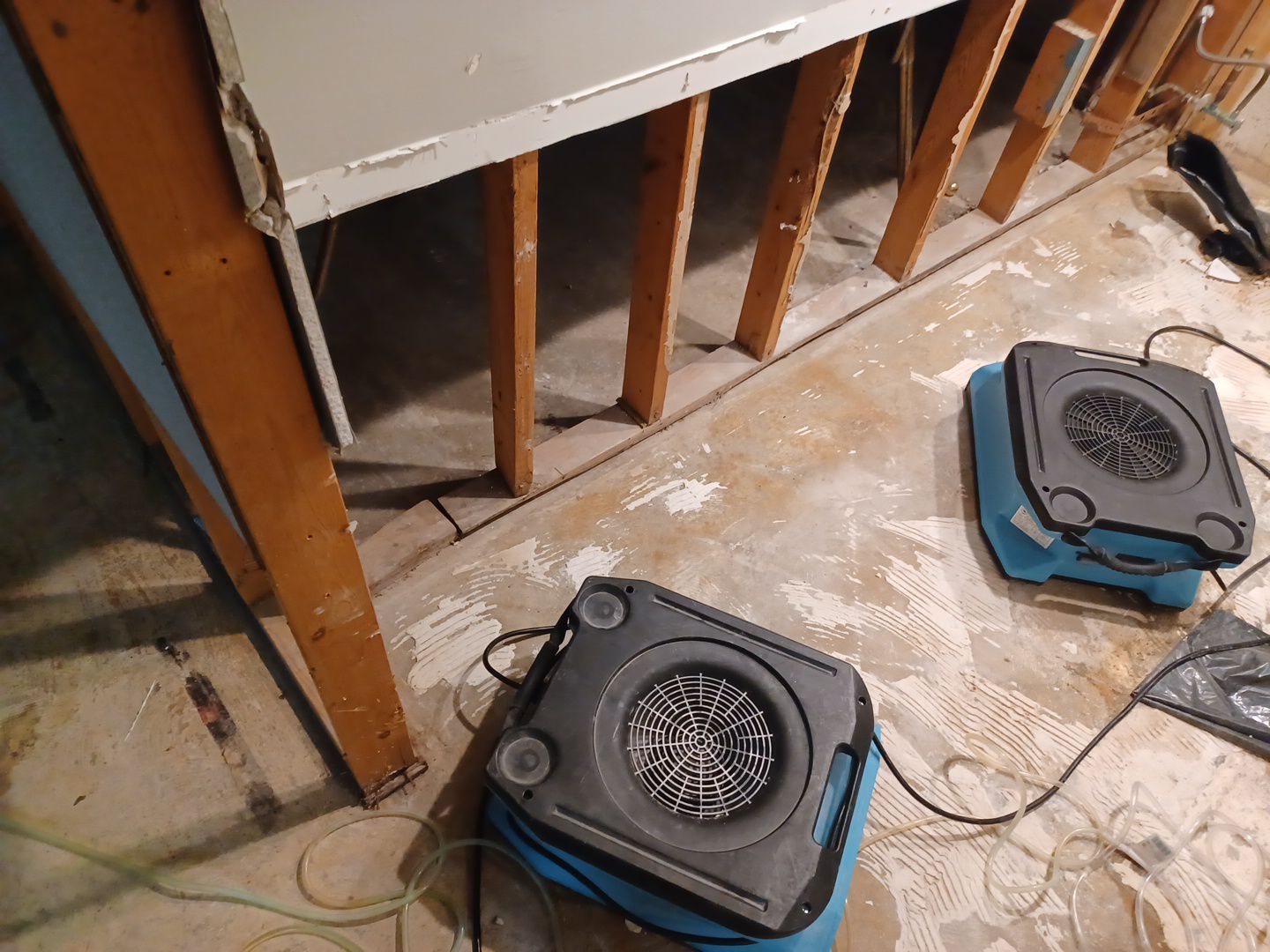 Project in Westland by EzDry Water Mitigation & Property Restoration