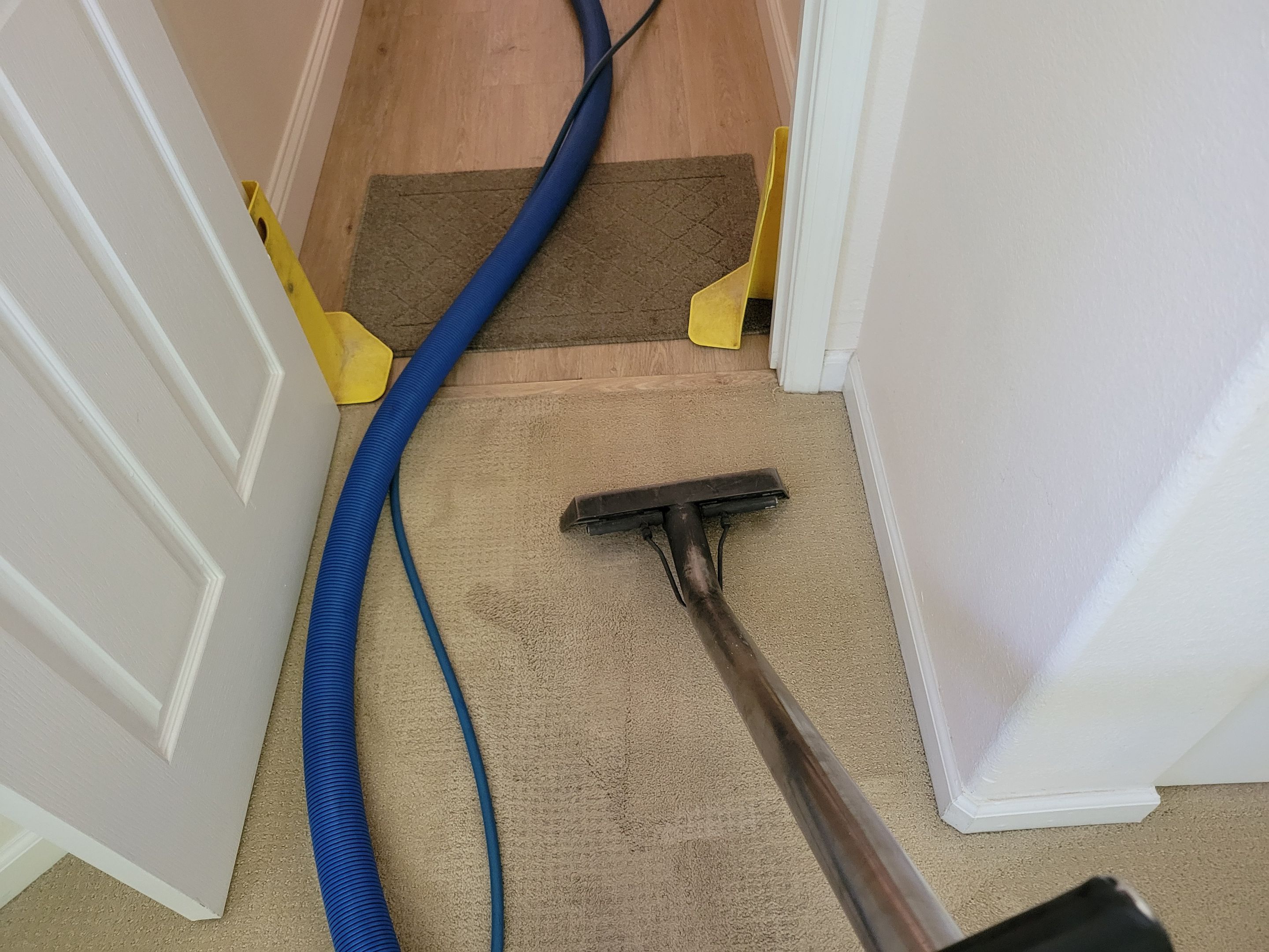 Annual Carpet Cleaning by Ardent Carpet Restore LLC