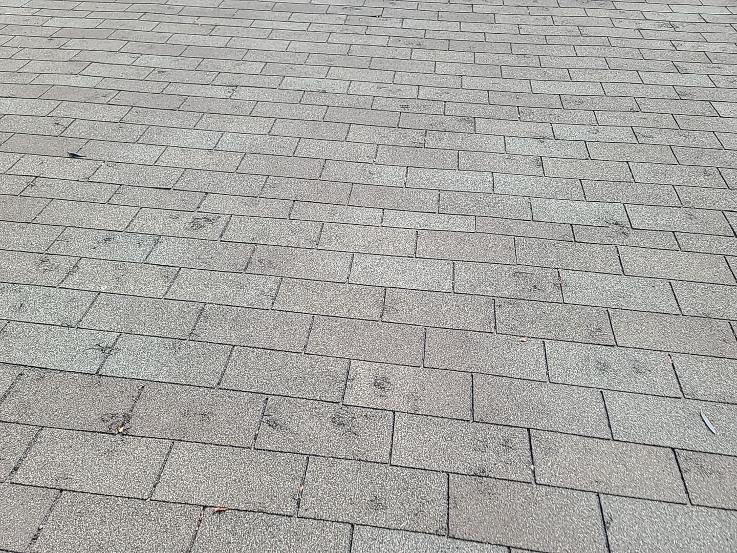 Residential Asphalt Shingle Roof Replacement and Decking Repair in Round Rock by Caliber Restoration LLC