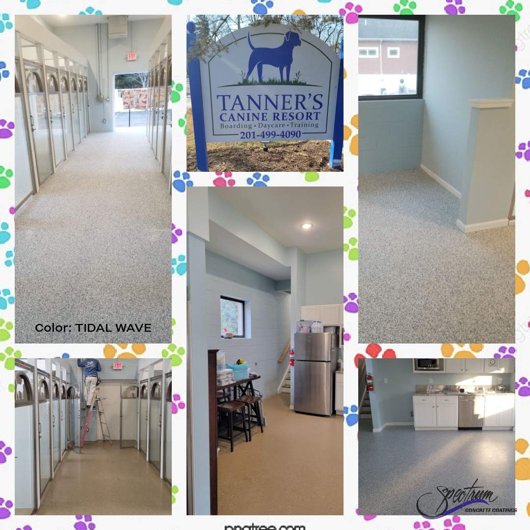 Kennel Floor Coating and Wall Painting using Penntek by Spectrum Painting, LLC